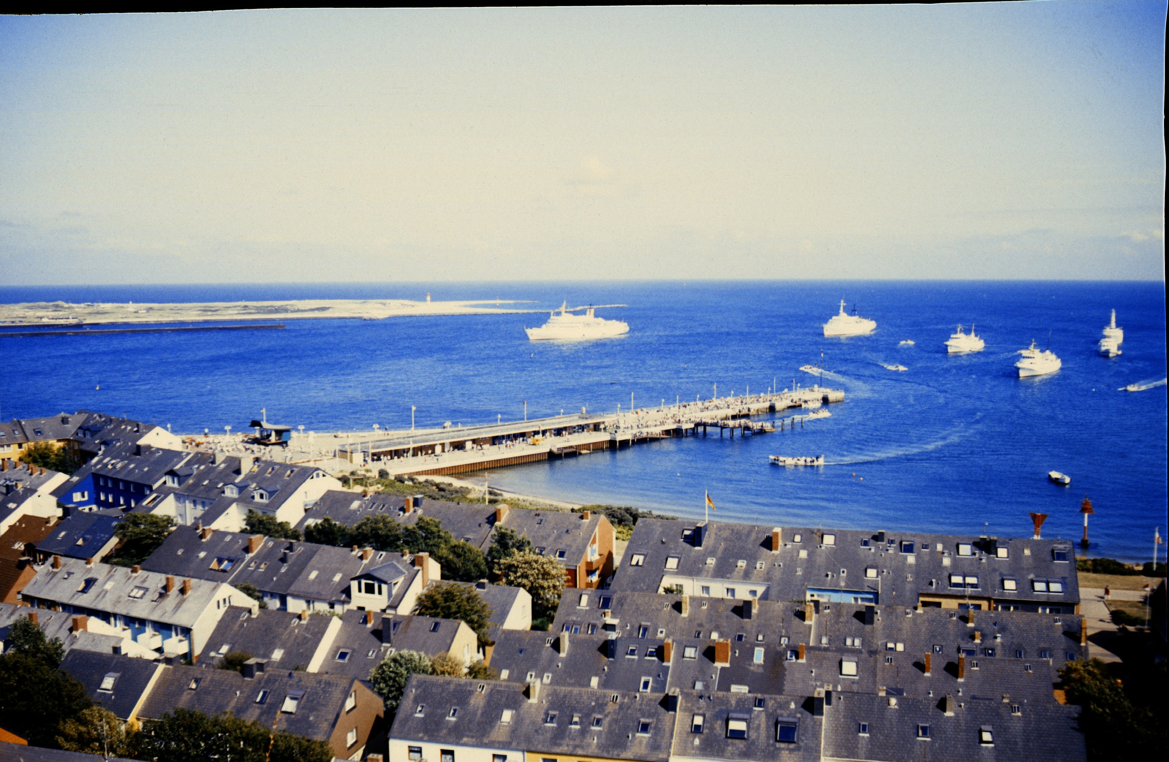 021D61BA 37FD 4155 9D66 65087BB208452020 02 09 0015