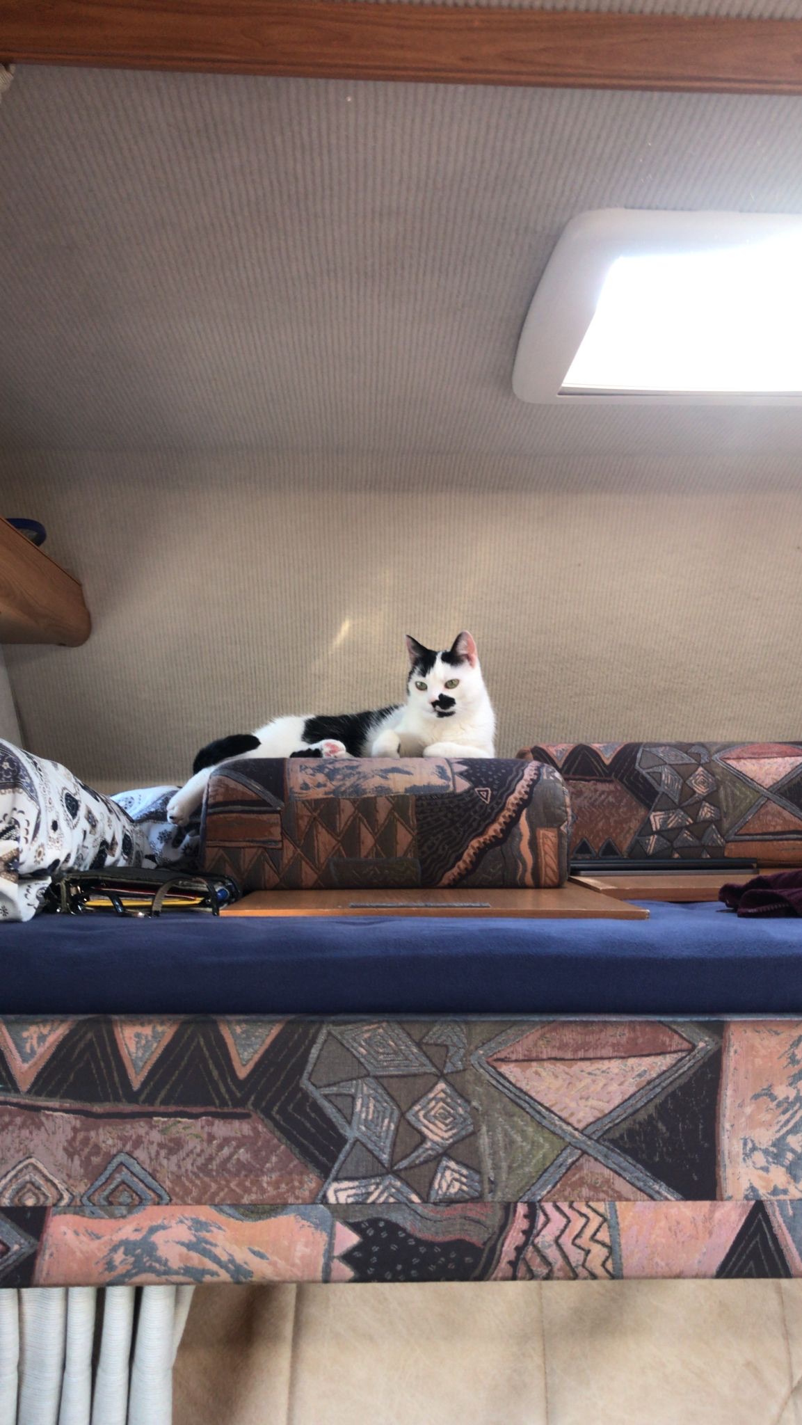 03bcdc6c 8e4c 4853 aac3 b63fe78dbcdd