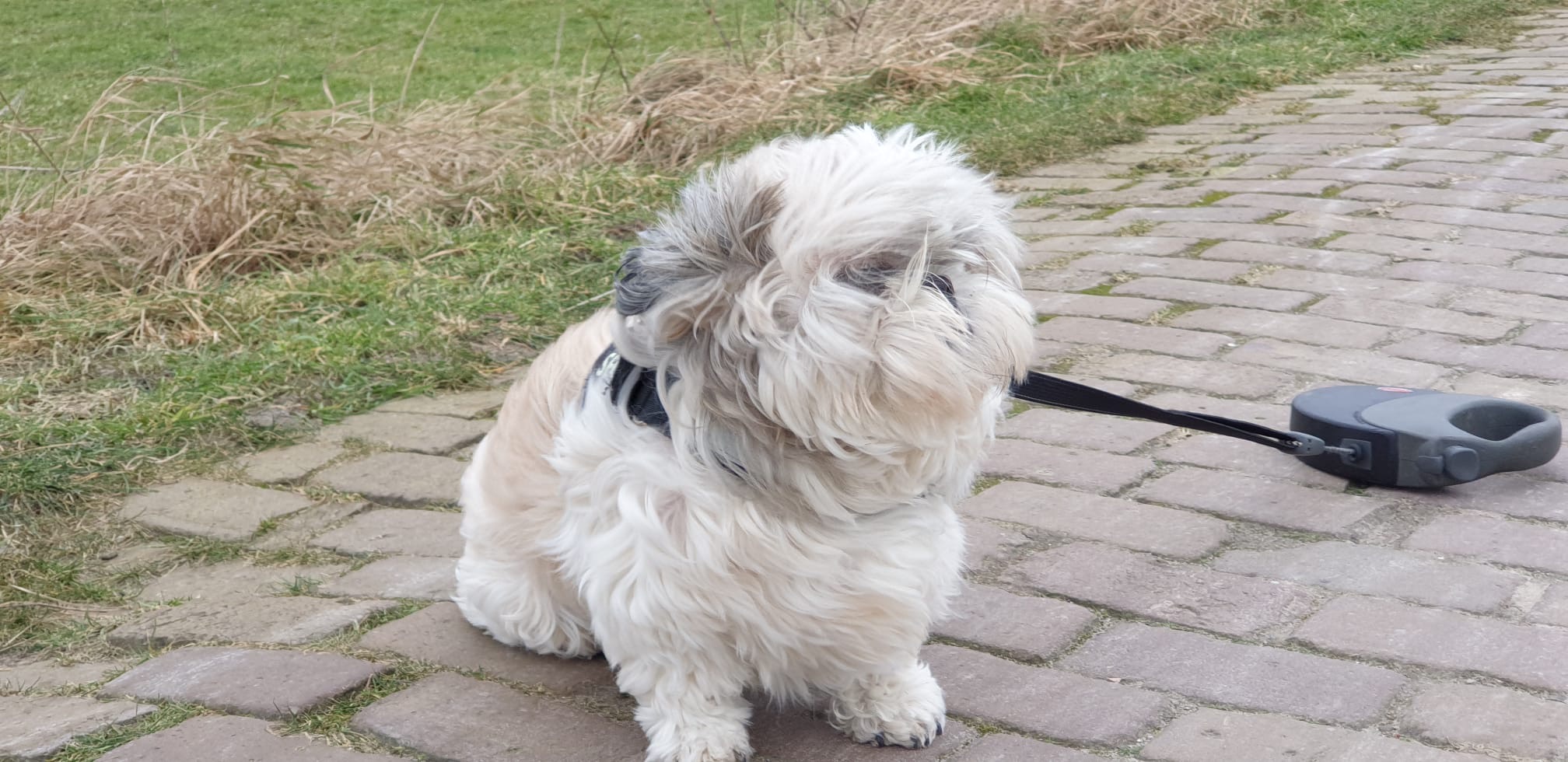 071c0b64 8df6 4ae4 8c07 7fc68c62f804