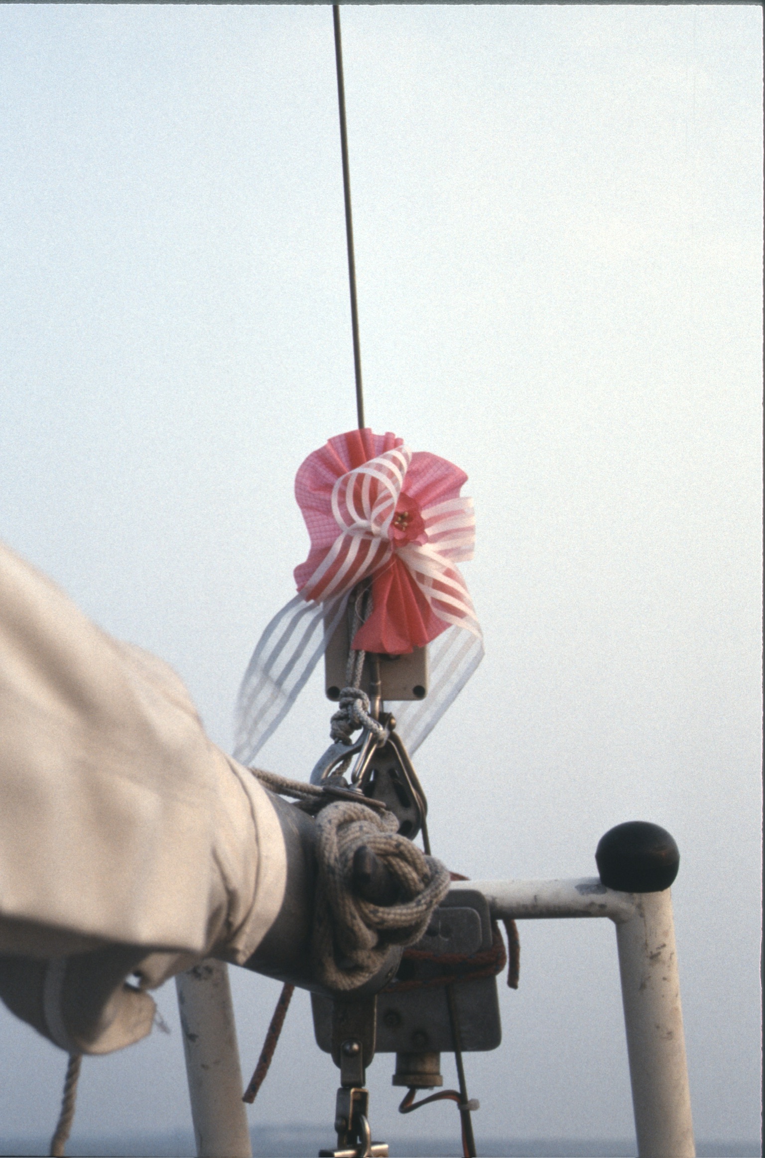 07728279 5CC6 40F6 A31F B244DF1AF7E42020 02 06 0020