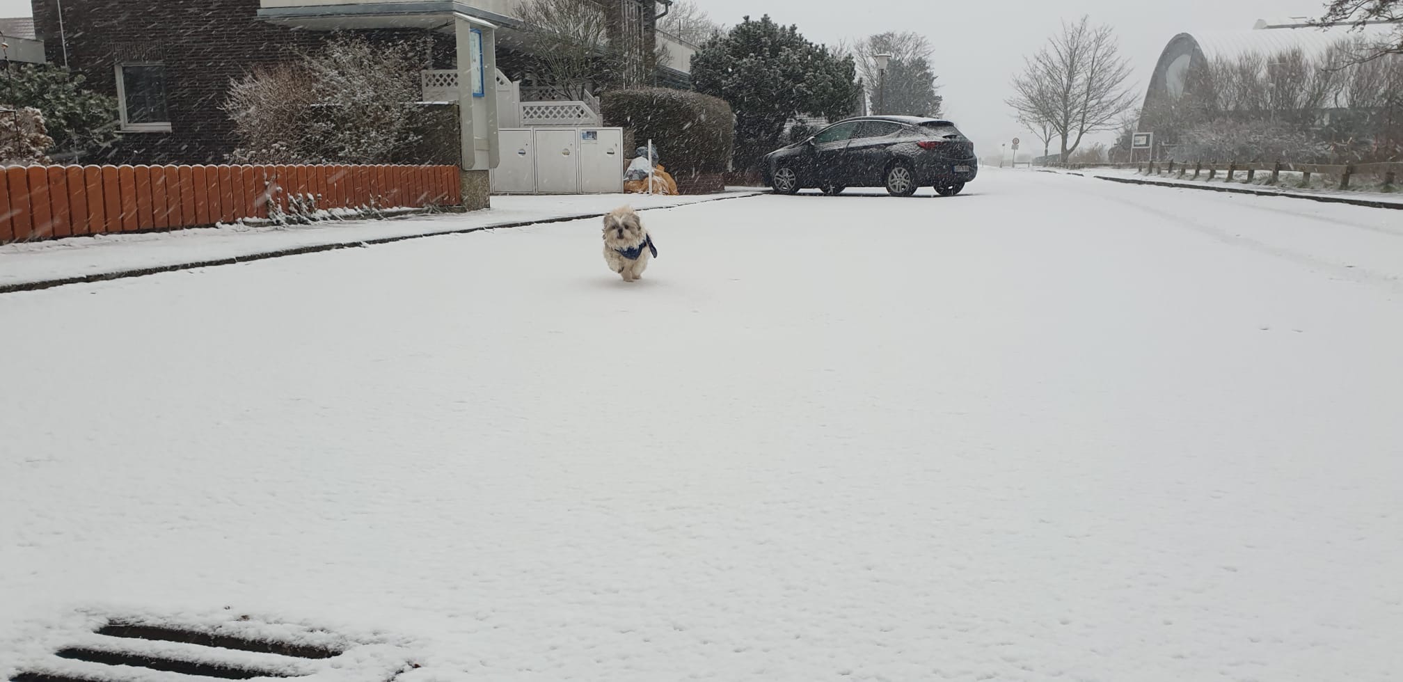 07a452f9 5d63 4cc5 b5f3 2fbbe139437e