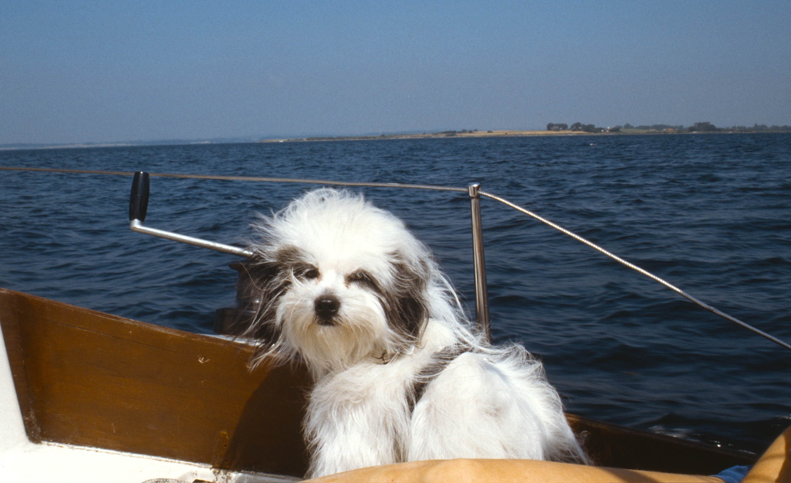 0EE82EA9 7F11 4FC9 B58D 2FC10A500FE62020 03 05 2029