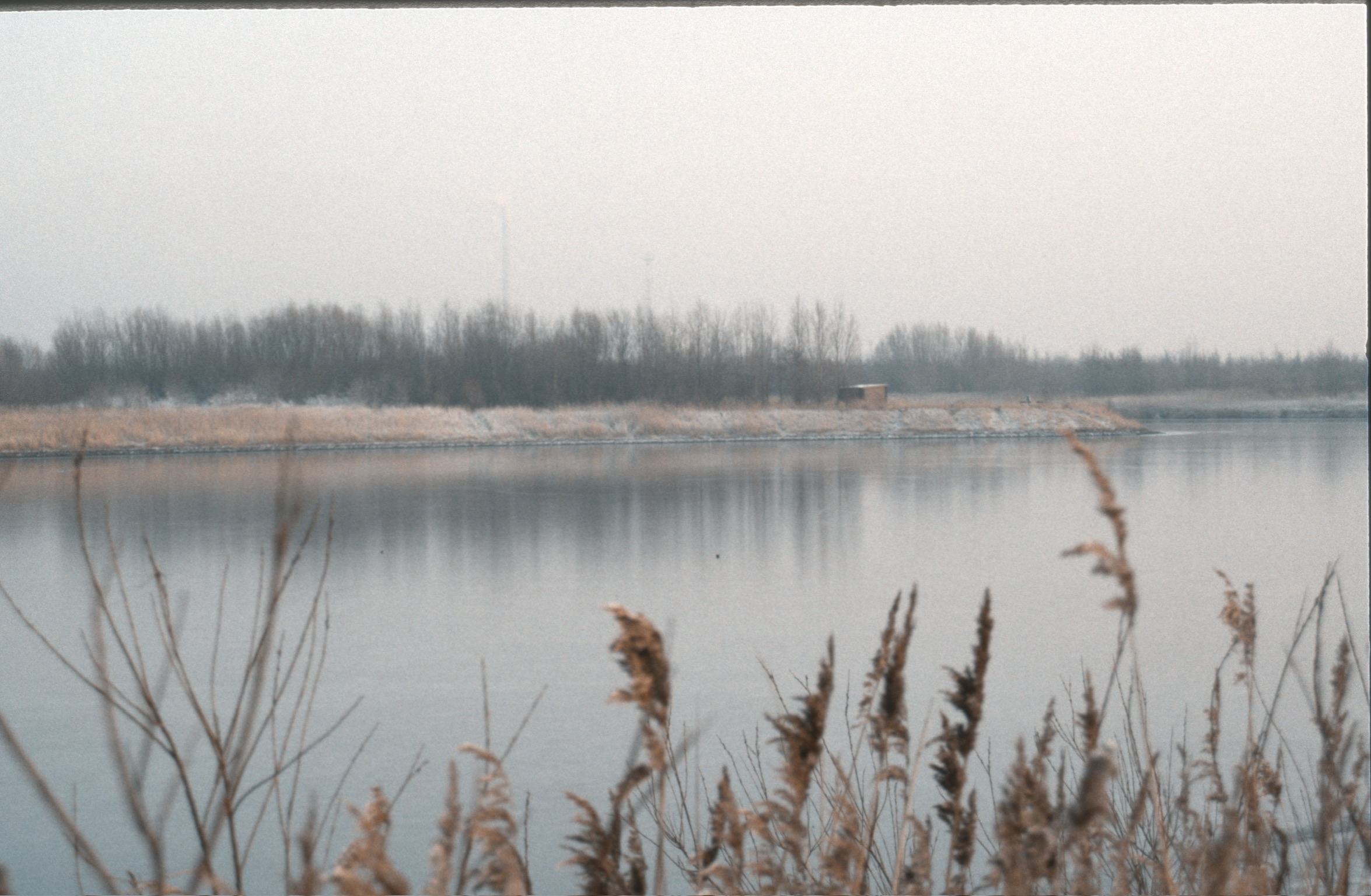 0FCEC399 7130 42D9 844D 8D0185E3AEEC2020 02 24 0002