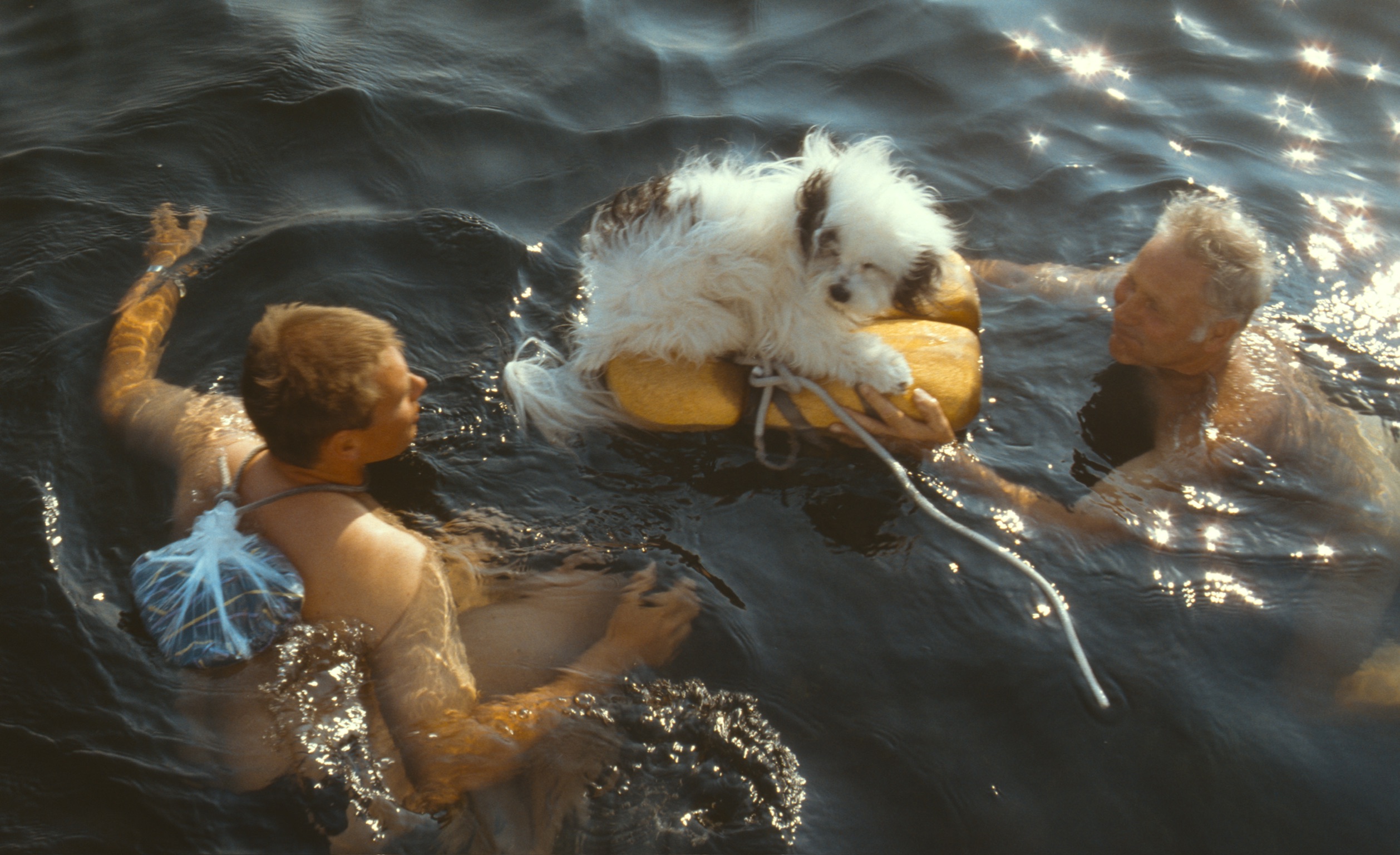 122C6EA9 4BA1 4929 92C8 C799AC80E0CB2020 03 05 2046