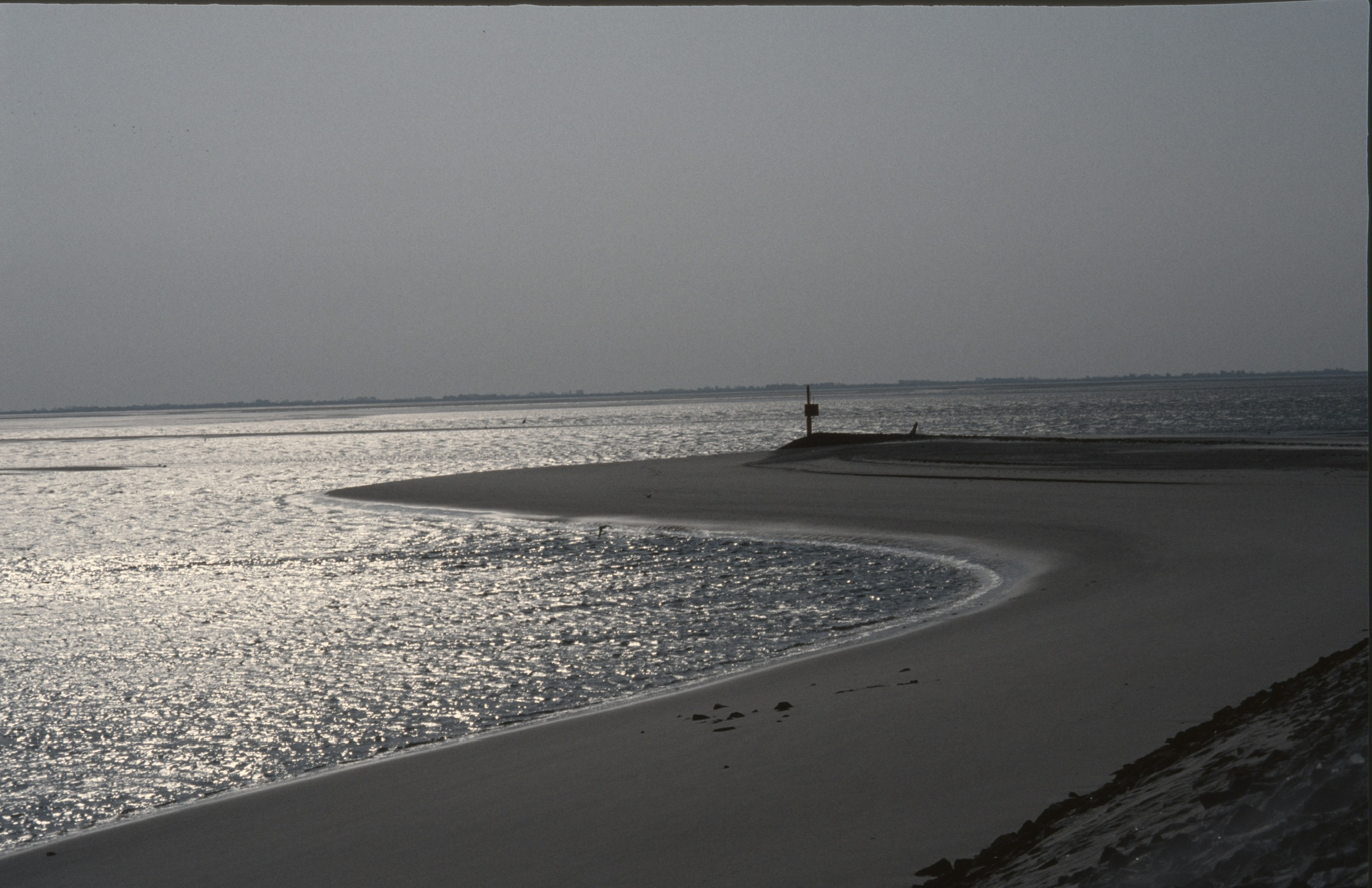 146B1EE0 0796 4399 921D 334B334C90922020 02 16 0004