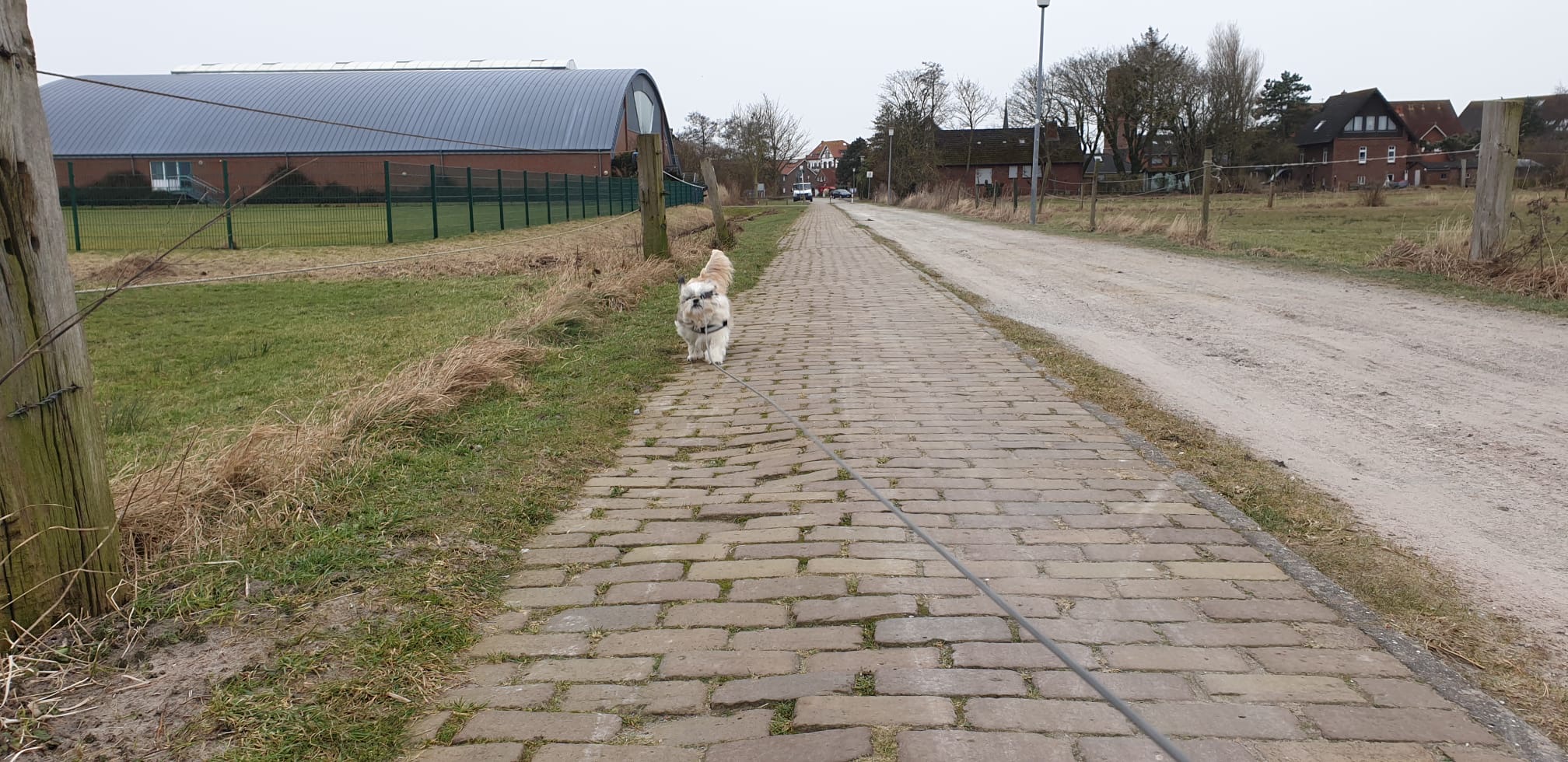 14afa6a6 16d0 4972 be47 aff259de0ae1