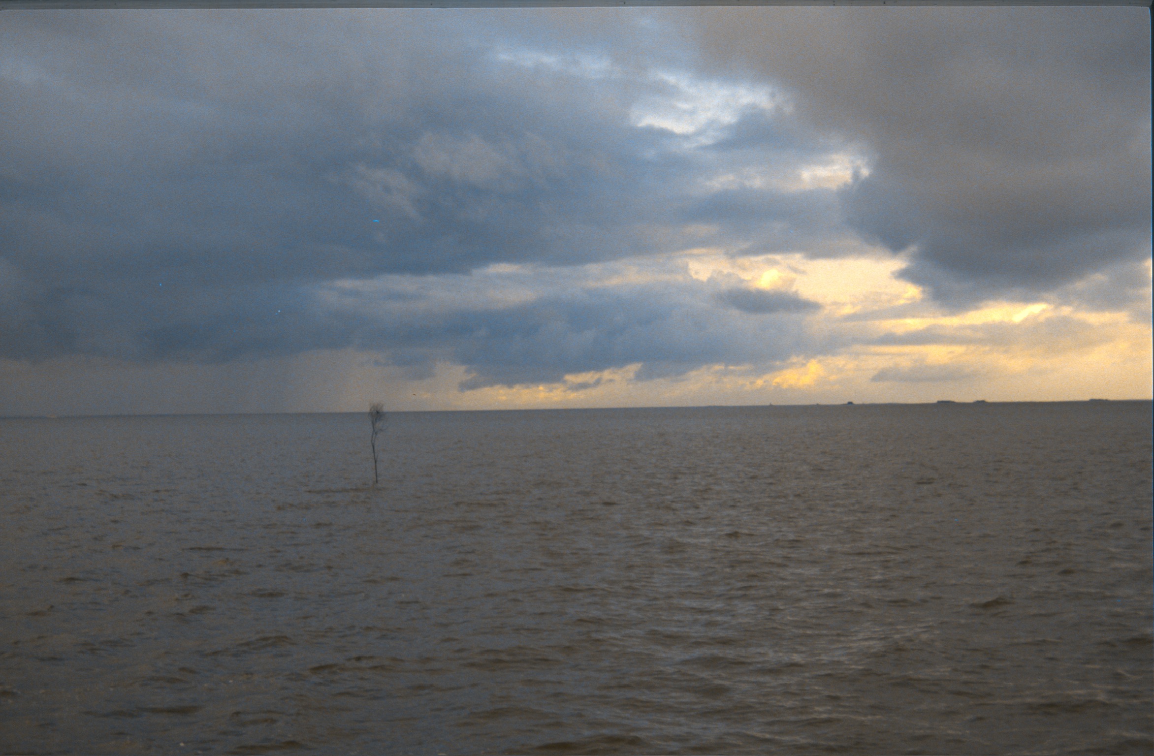 16E7ADD1 52E4 4DFB A57A DCD3C97CB8612020 03 03 0040