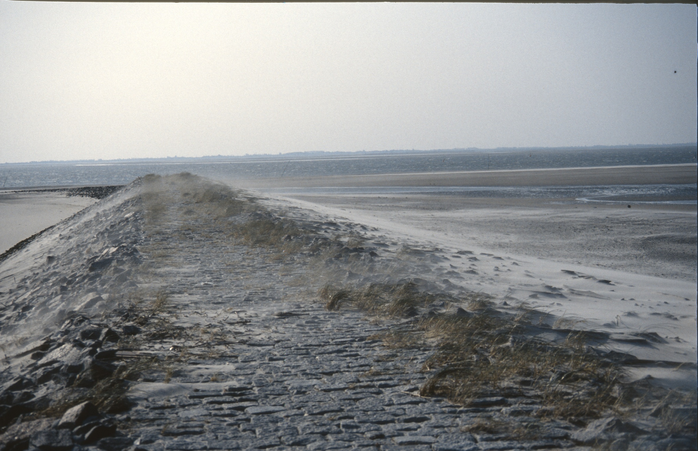 2002946D 41A2 418F 8C4C 18966BC7440E2020 02 16 0002