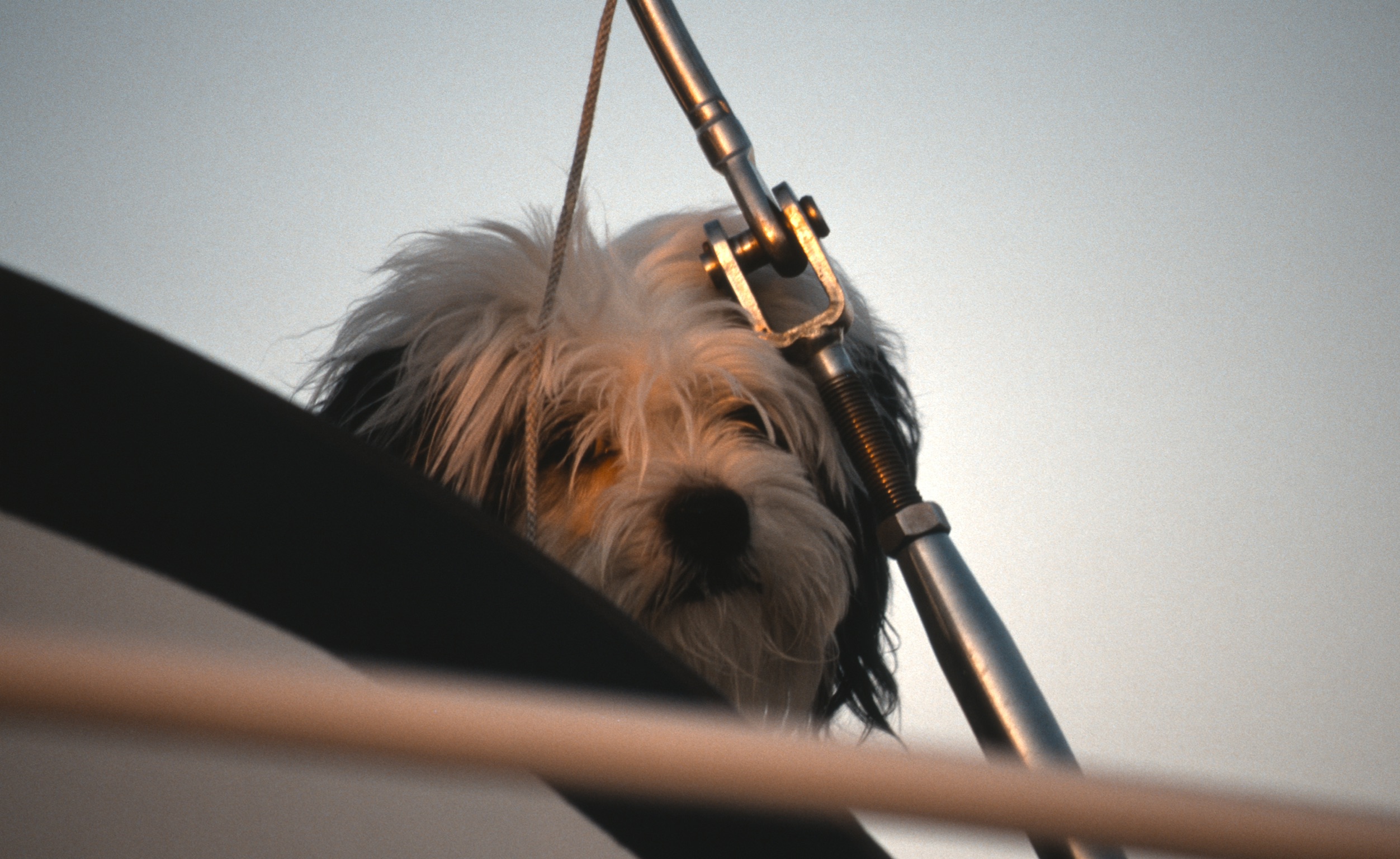 248173C2 A275 41E2 9158 CA506E29CDDC2020 03 04 1018a