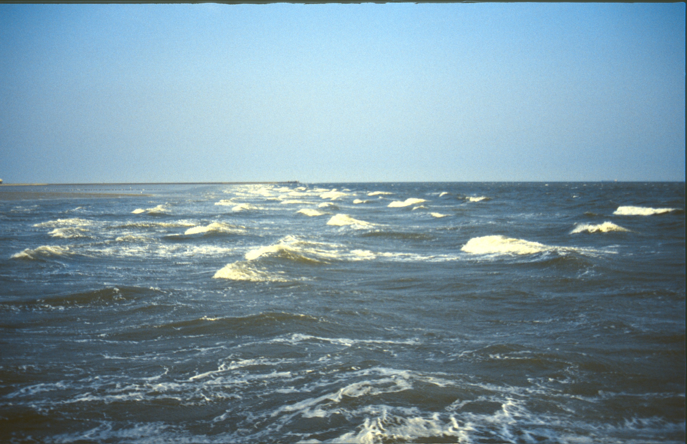 294E0919 5E3B 491C AC29 0703914366E52020 02 09 0047