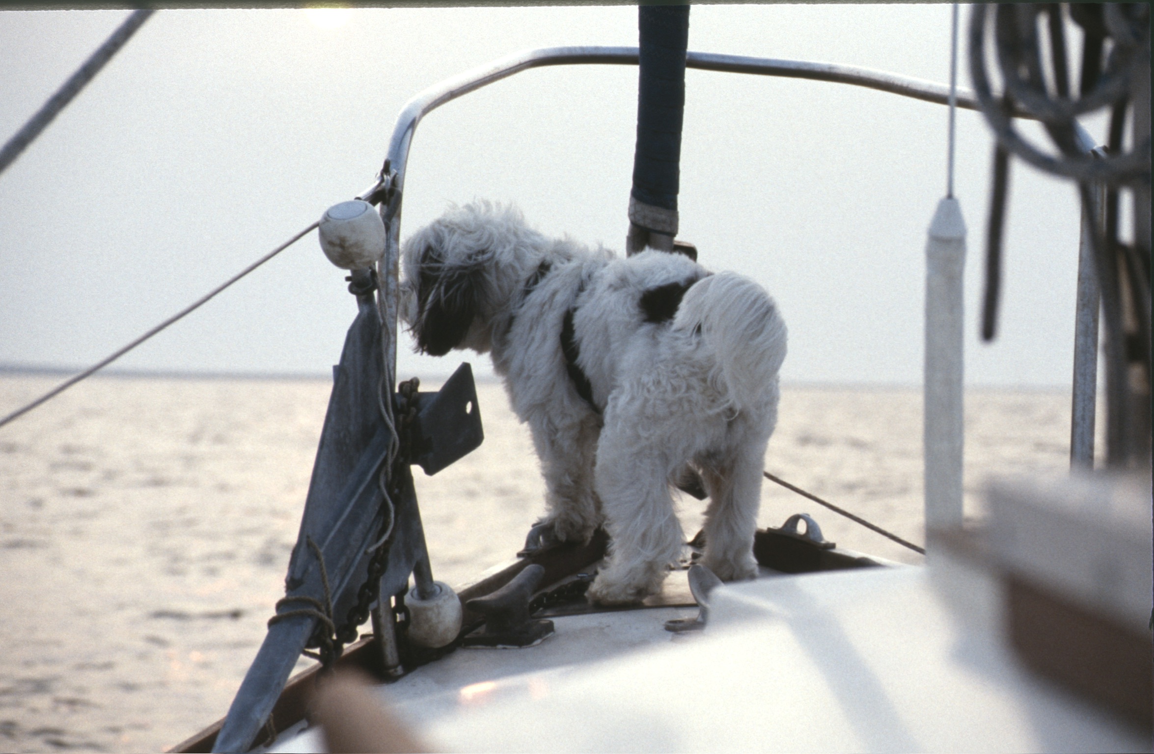 2BEF5257 CFC2 43B2 9E39 7E6E23AEB0402020 02 06 0017