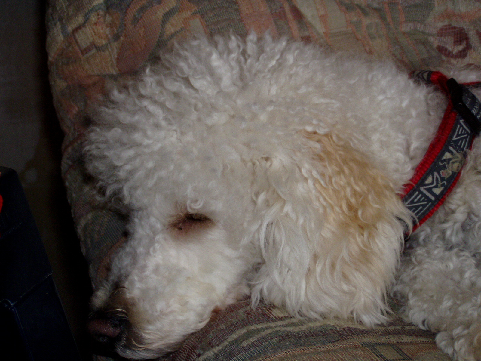 304580F6 7D2C 4922 AB7C 02768BBDA9DDpc260747