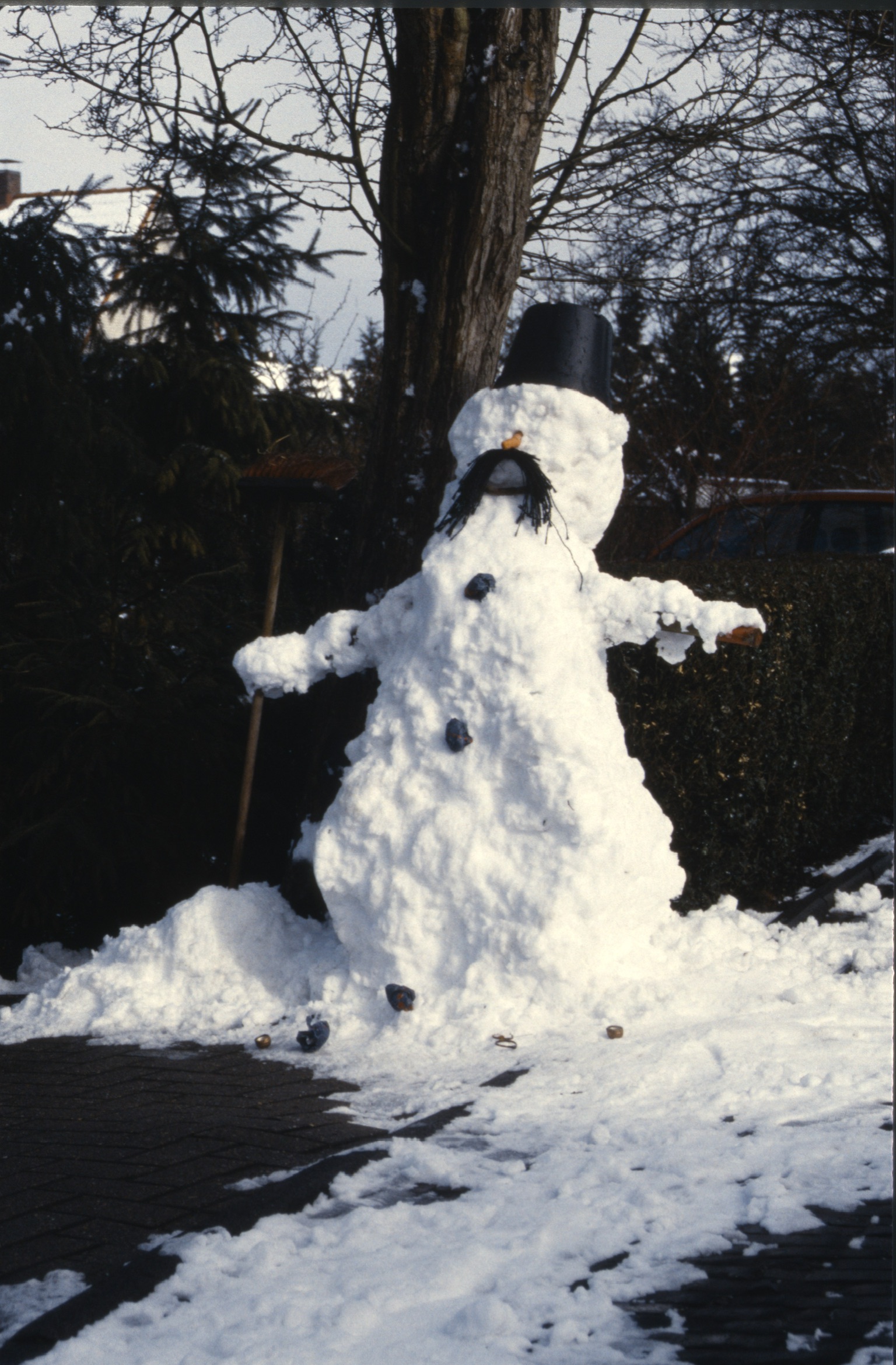 3129517B 5F03 4DA1 AD31 F681118470842020 02 25 1019