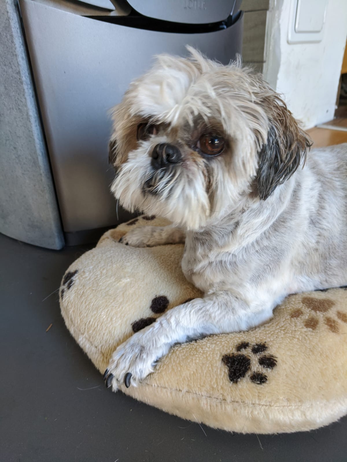 31b6a452 e17b 4784 bbcc 257c7b6806d6