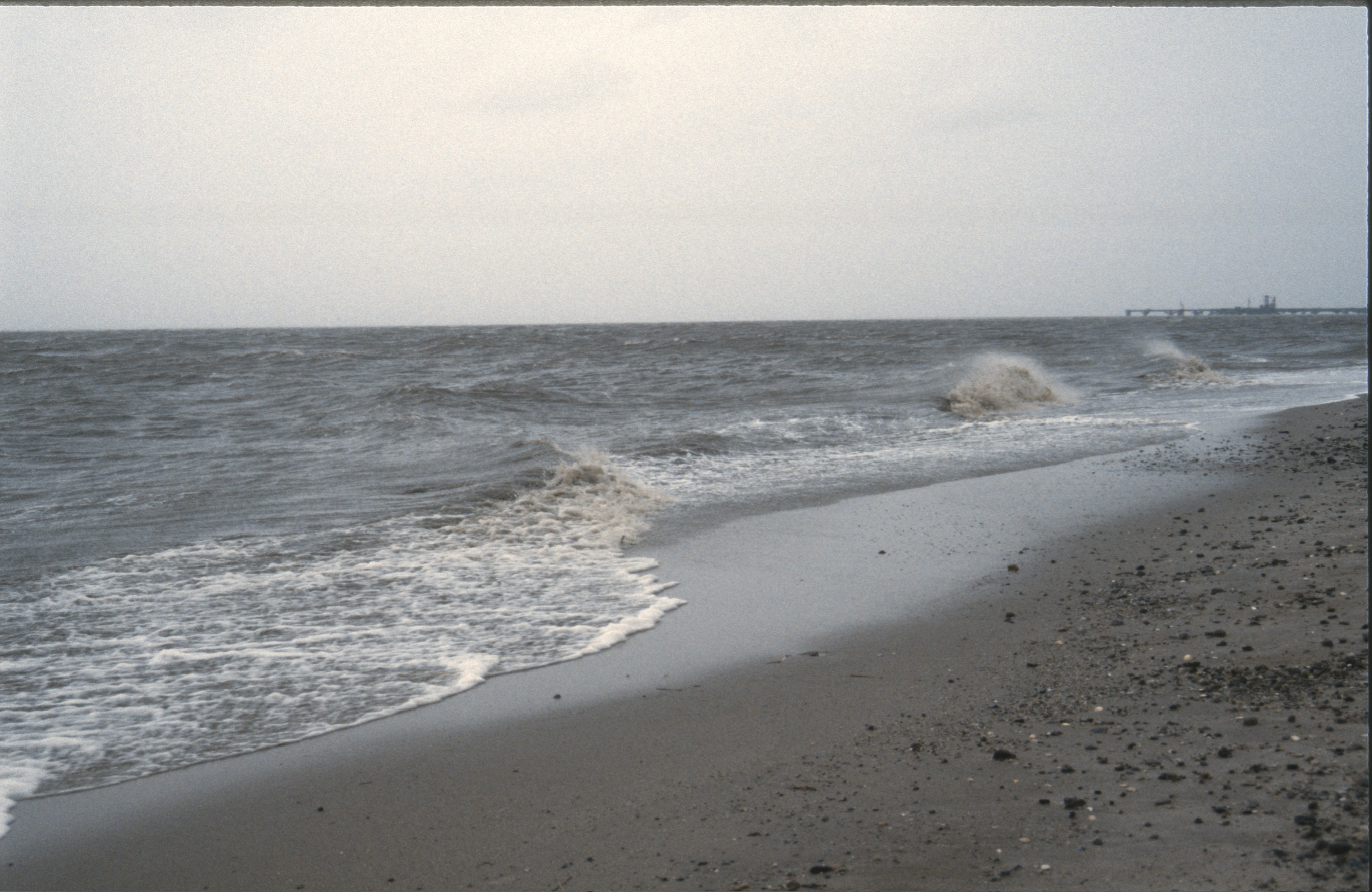 3D152B82 3DC8 4A6C 85E6 72CC68DE08012020 02 24 0037