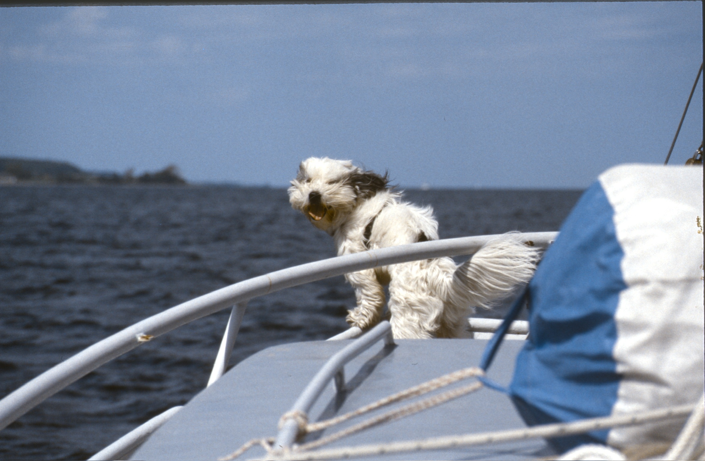 4768FD69 5A7B 4B33 B1FF 5E5CA1653CC12020 02 08 0045