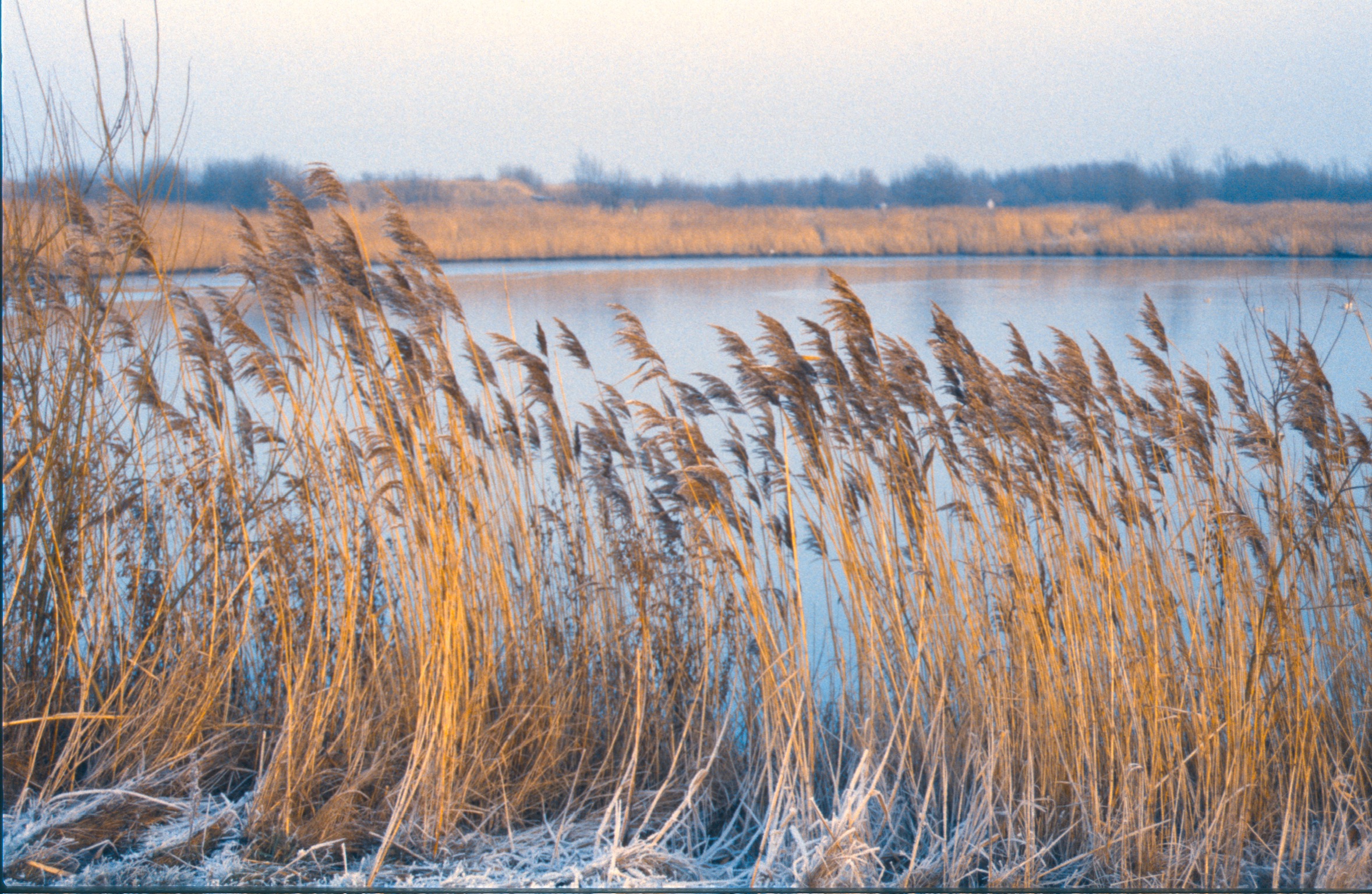 482DE2EE F8AC 4E1E ACC6 C6D06F25EBE42020 02 24 0005