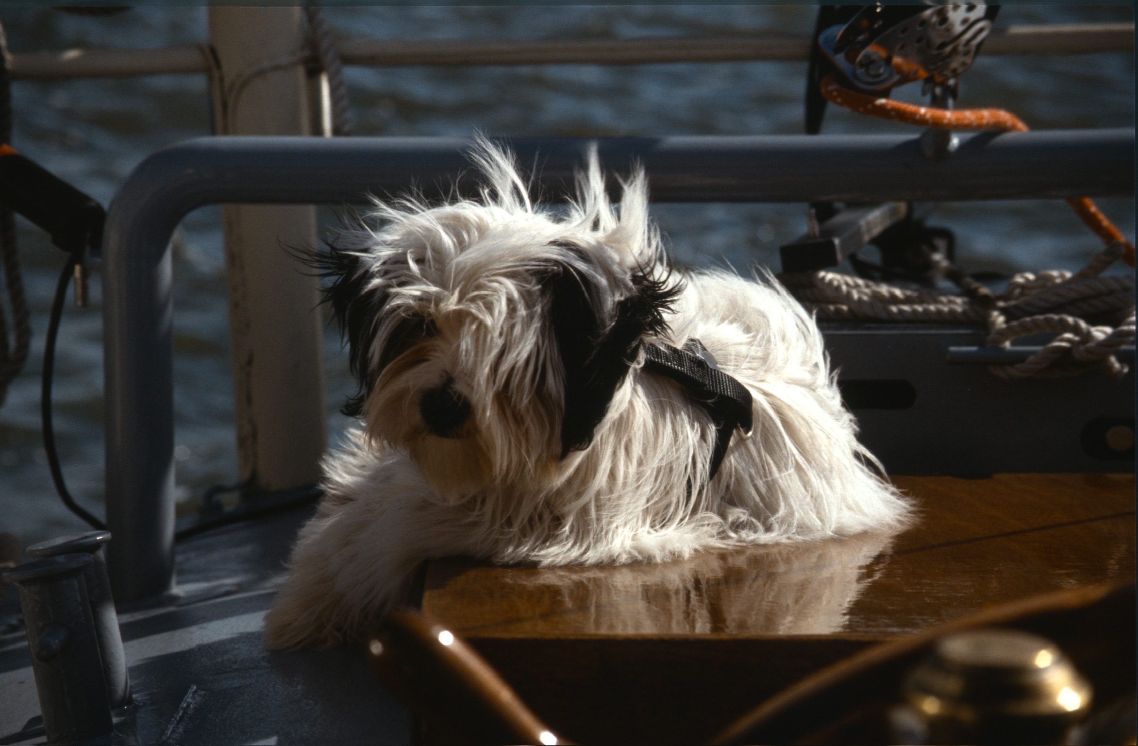 4D0FCB18 44B1 40F0 B68E EF425D7700802020 03 03 0009