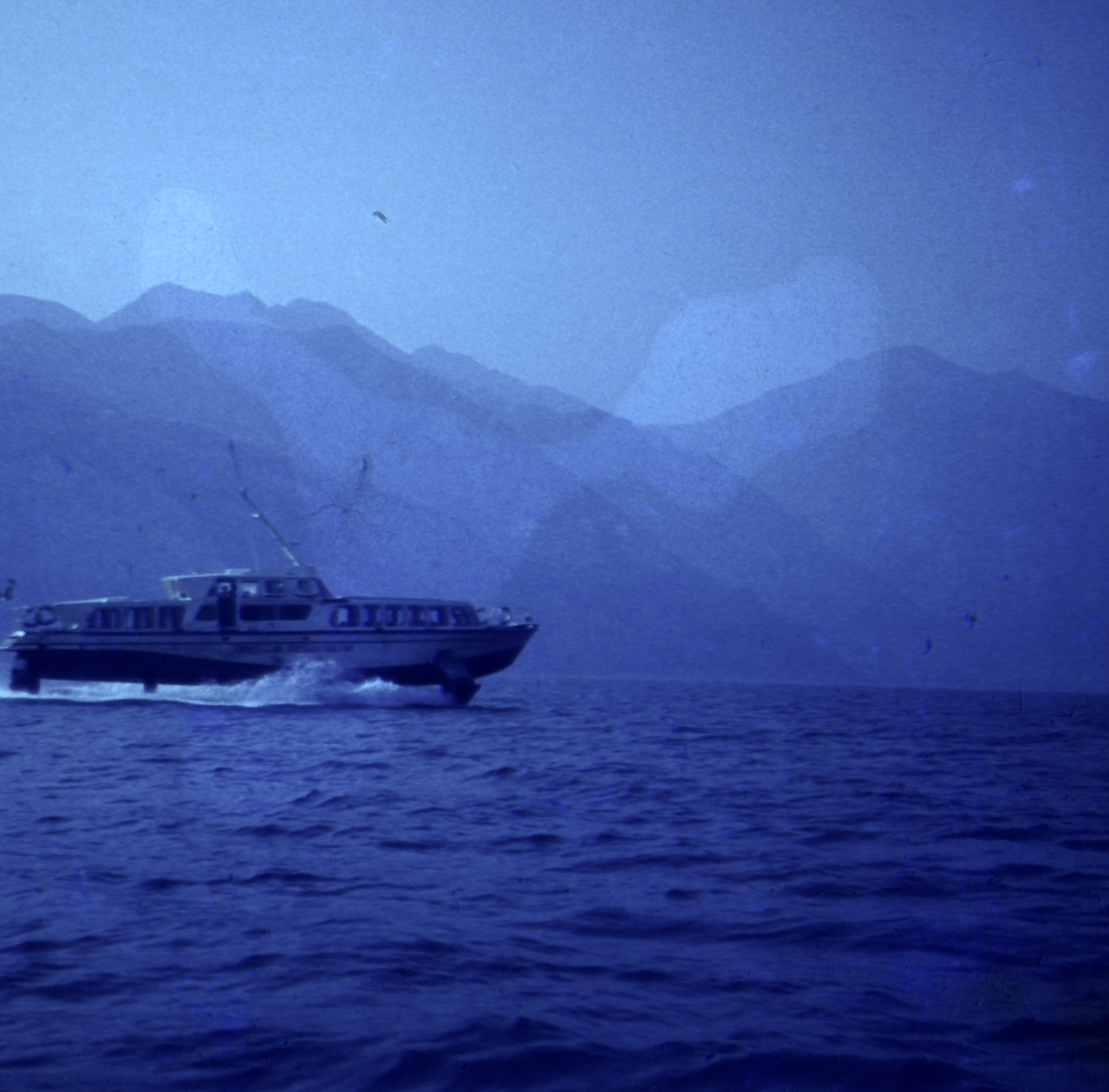 52D7A29D D5E1 431E 864E A04B3C9D43872020 07 08 1053