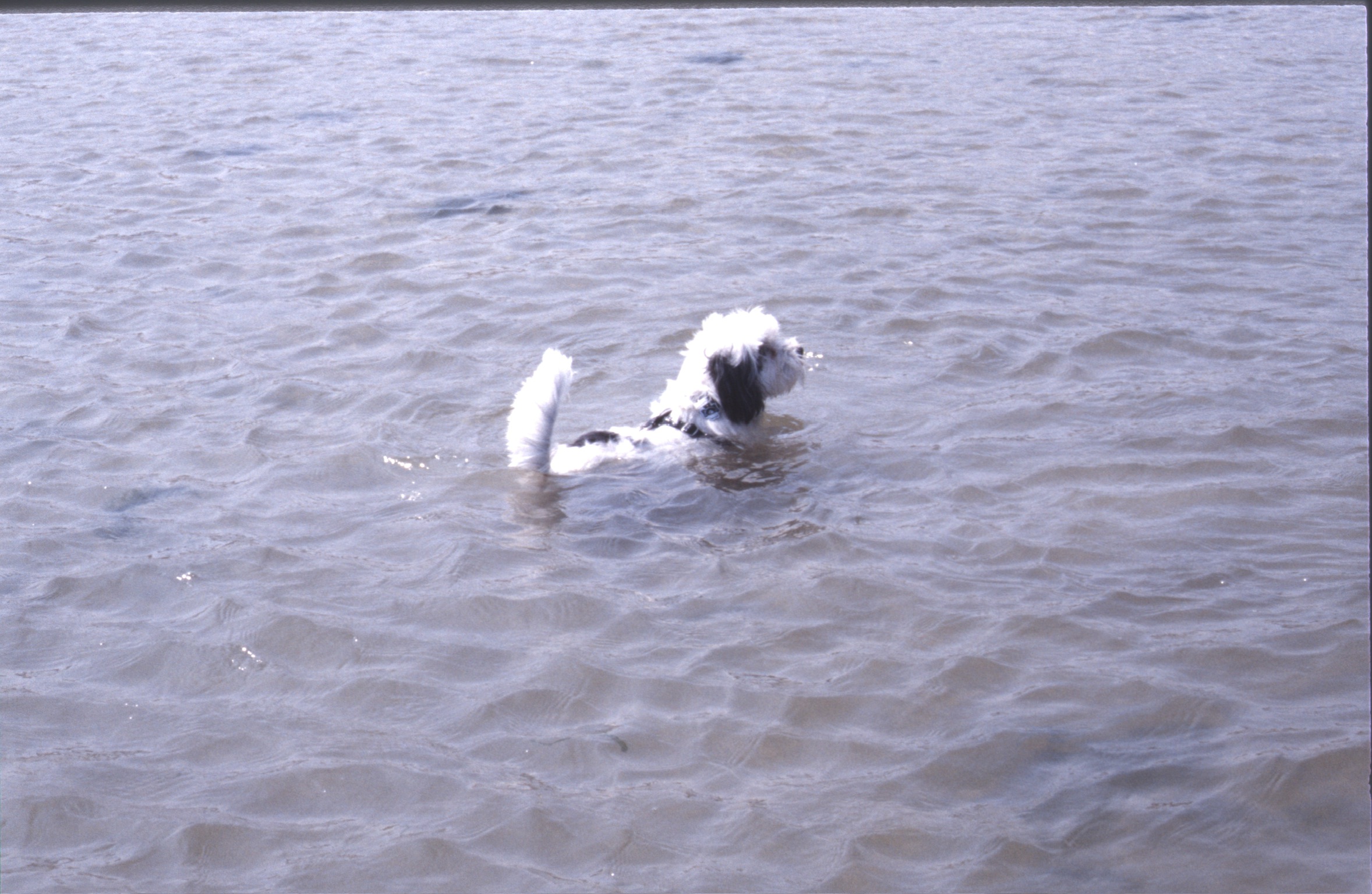 567FC507 048F 42D8 A6CA CB4EDAA669442020 02 06 0039