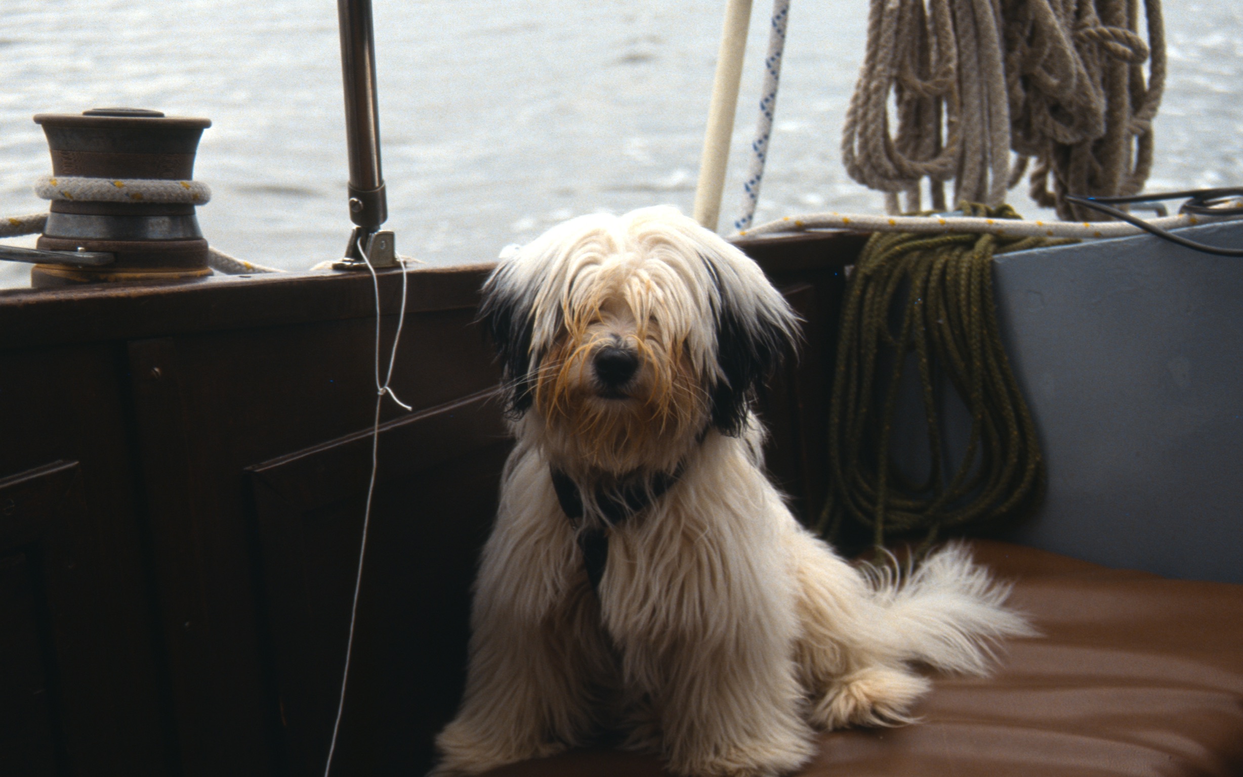 5BE67E48 C48B 4C03 B7B6 C03C43A488B22020 03 04 1015