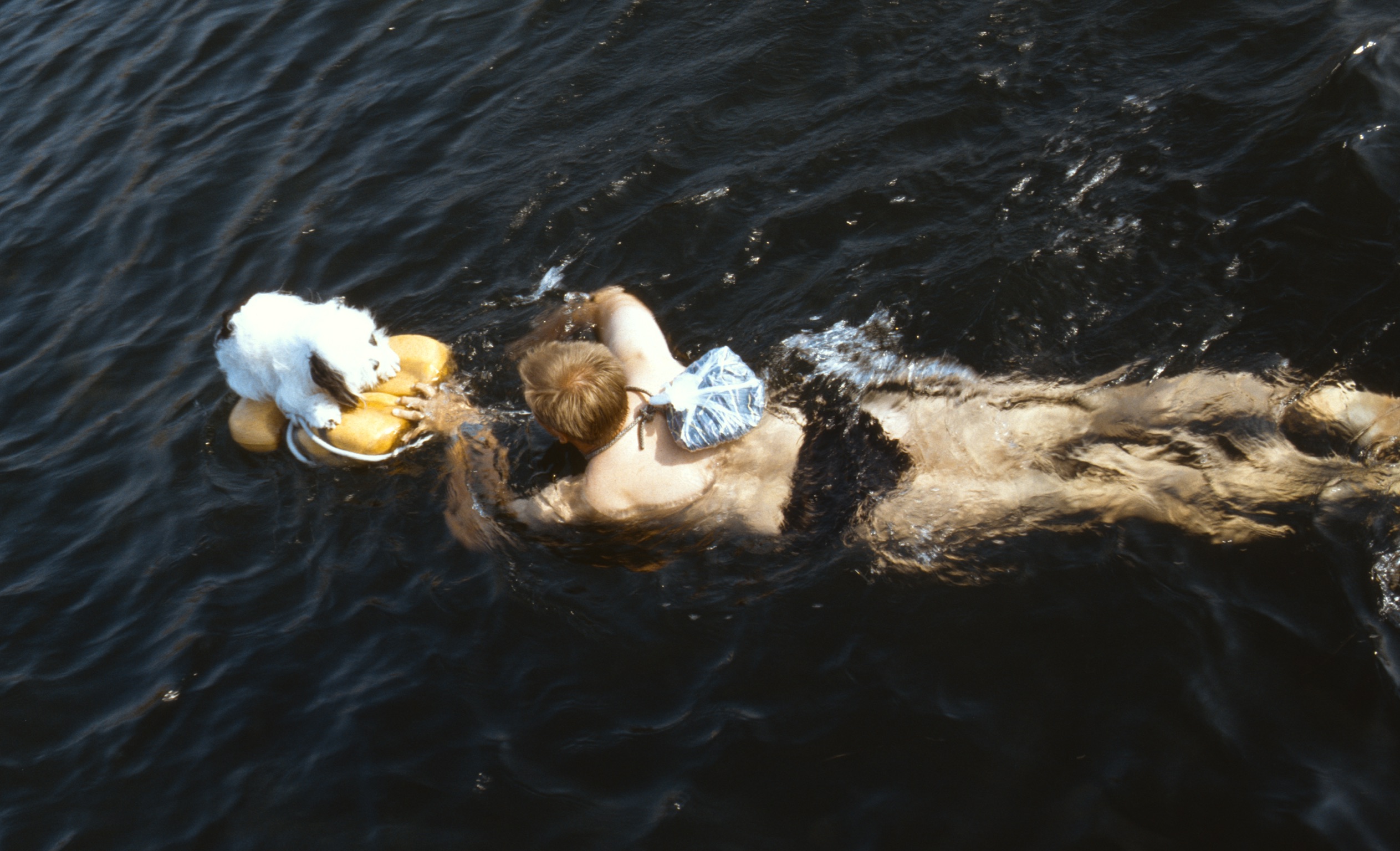 68A804A6 E5F8 4949 9D7D 4AABAC641A9A2020 03 05 2047