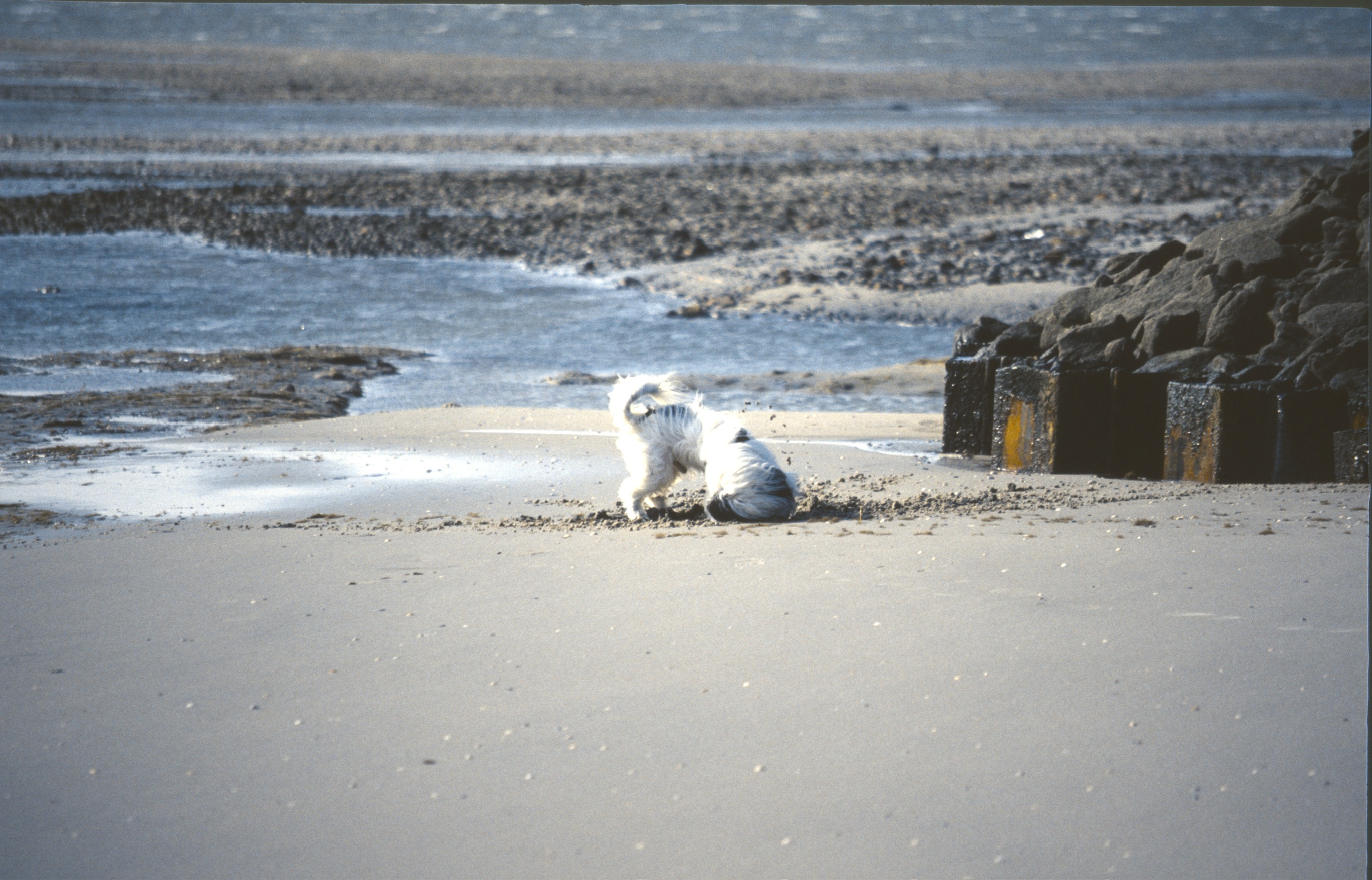 6941F703 03DB 4EA3 BC2D F7C7C4A436742020 02 16 0008