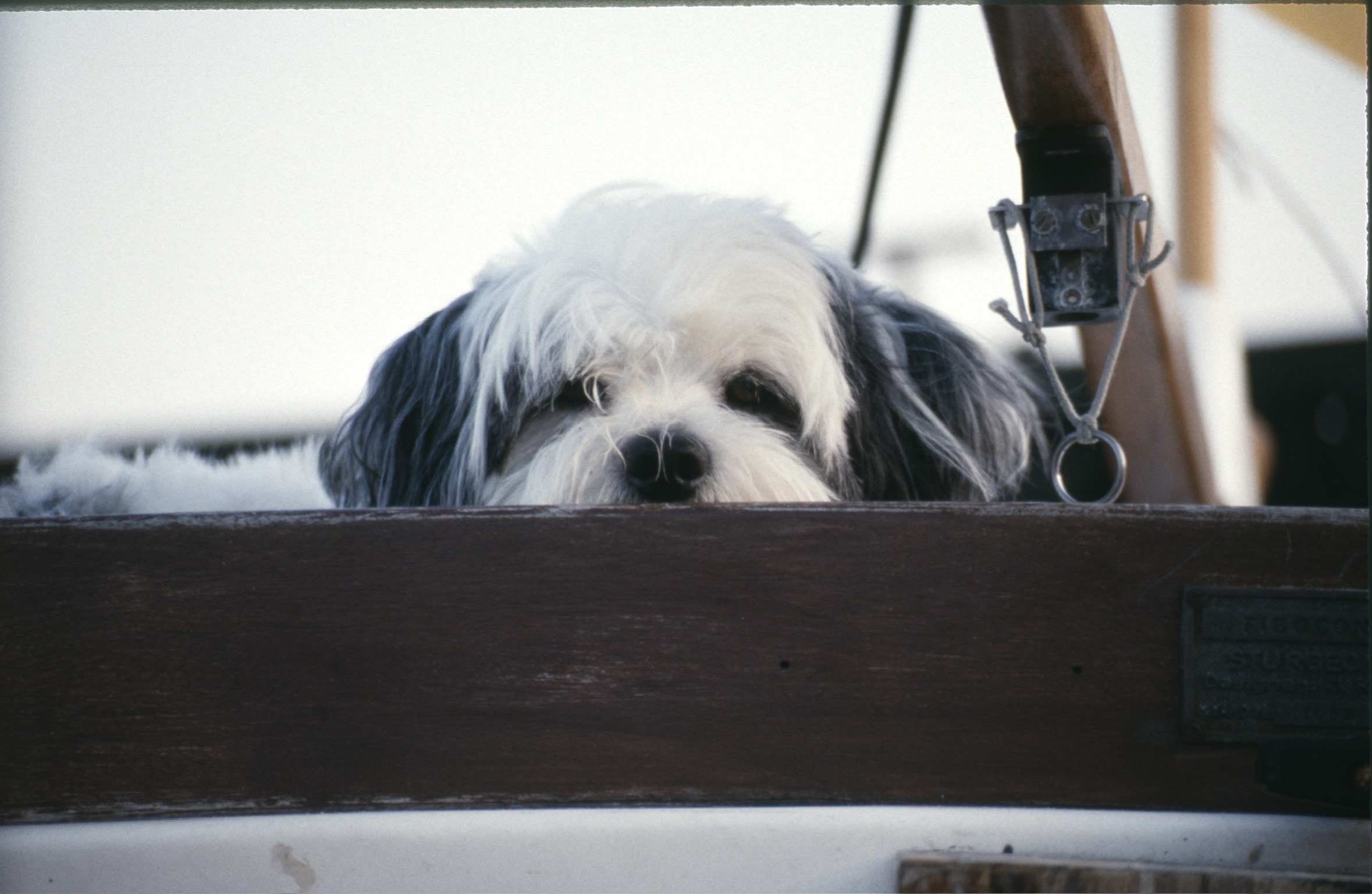 6BB0D966 9585 48EF 9A7F 96B737AA85172020 02 06 0008