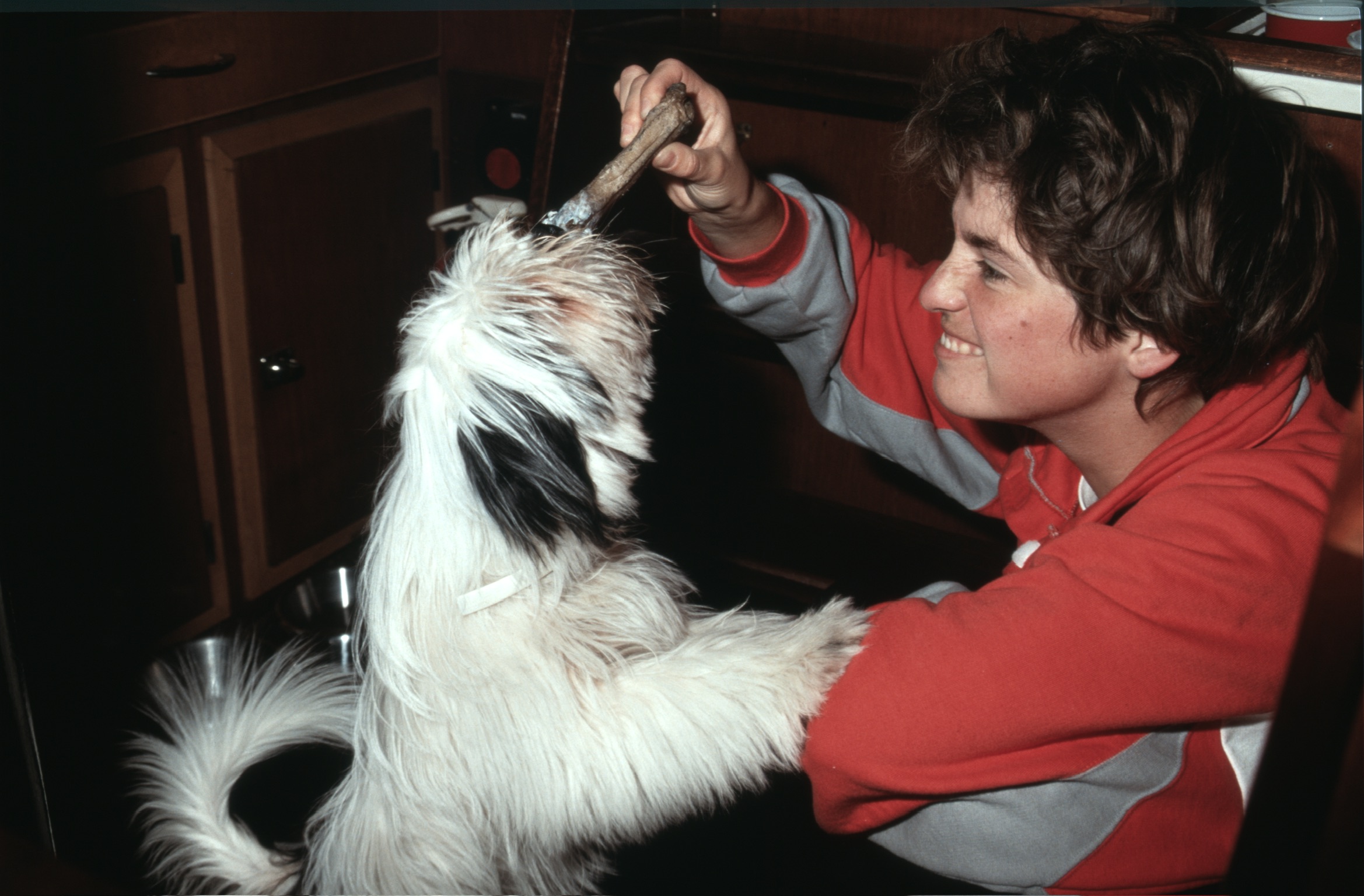 6F6646E7 25B2 418E AD4B F3353F41CC232020 03 03 0031