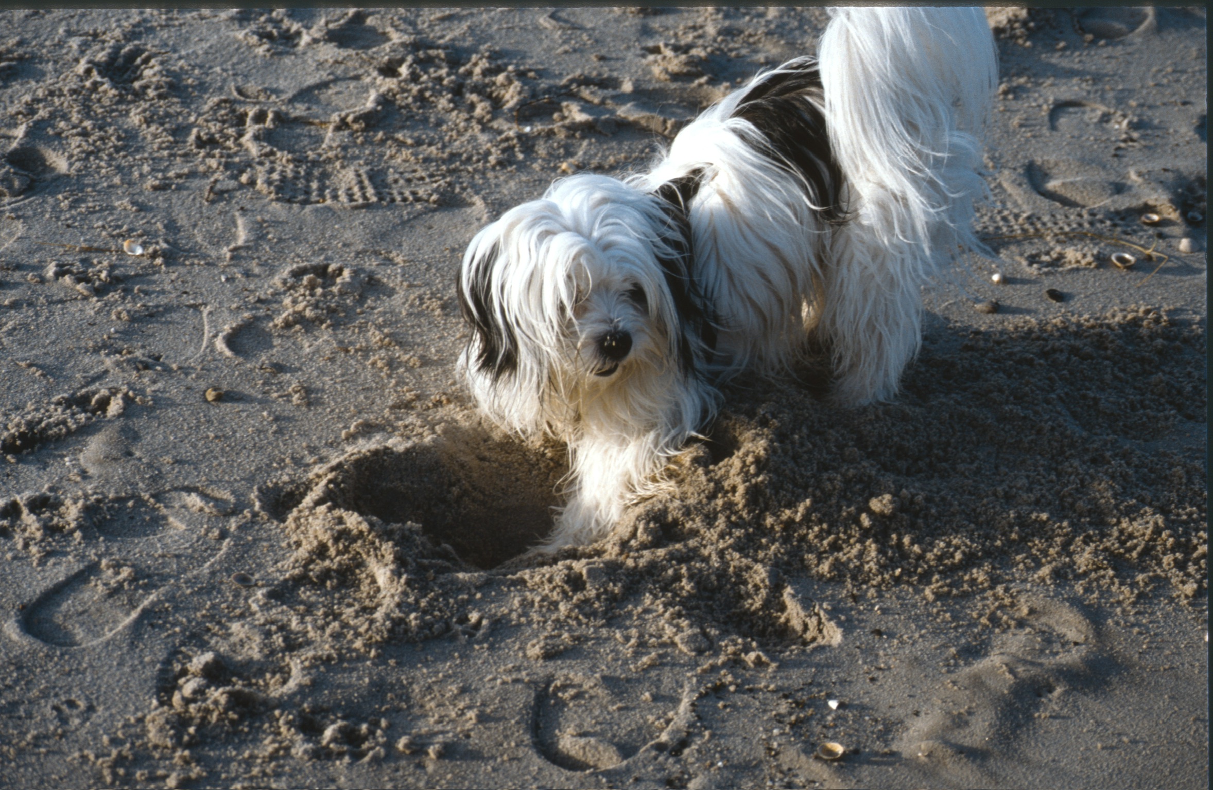 73BF6225 DDAF 4BD0 A396 19216E510AB32020 02 23 0032