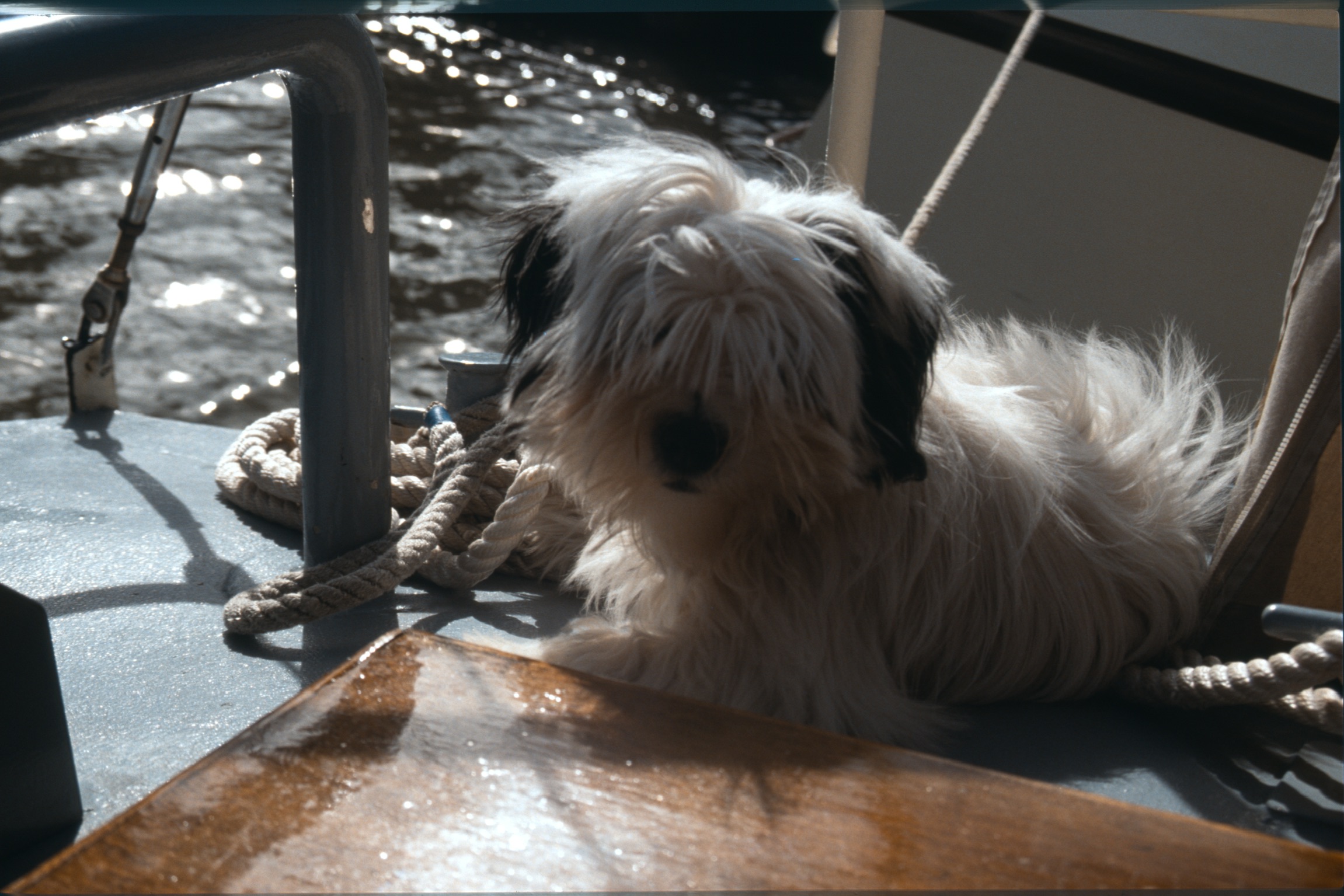 79AF576A 3986 444B AA1C 839FE779257A2020 03 03 0019a