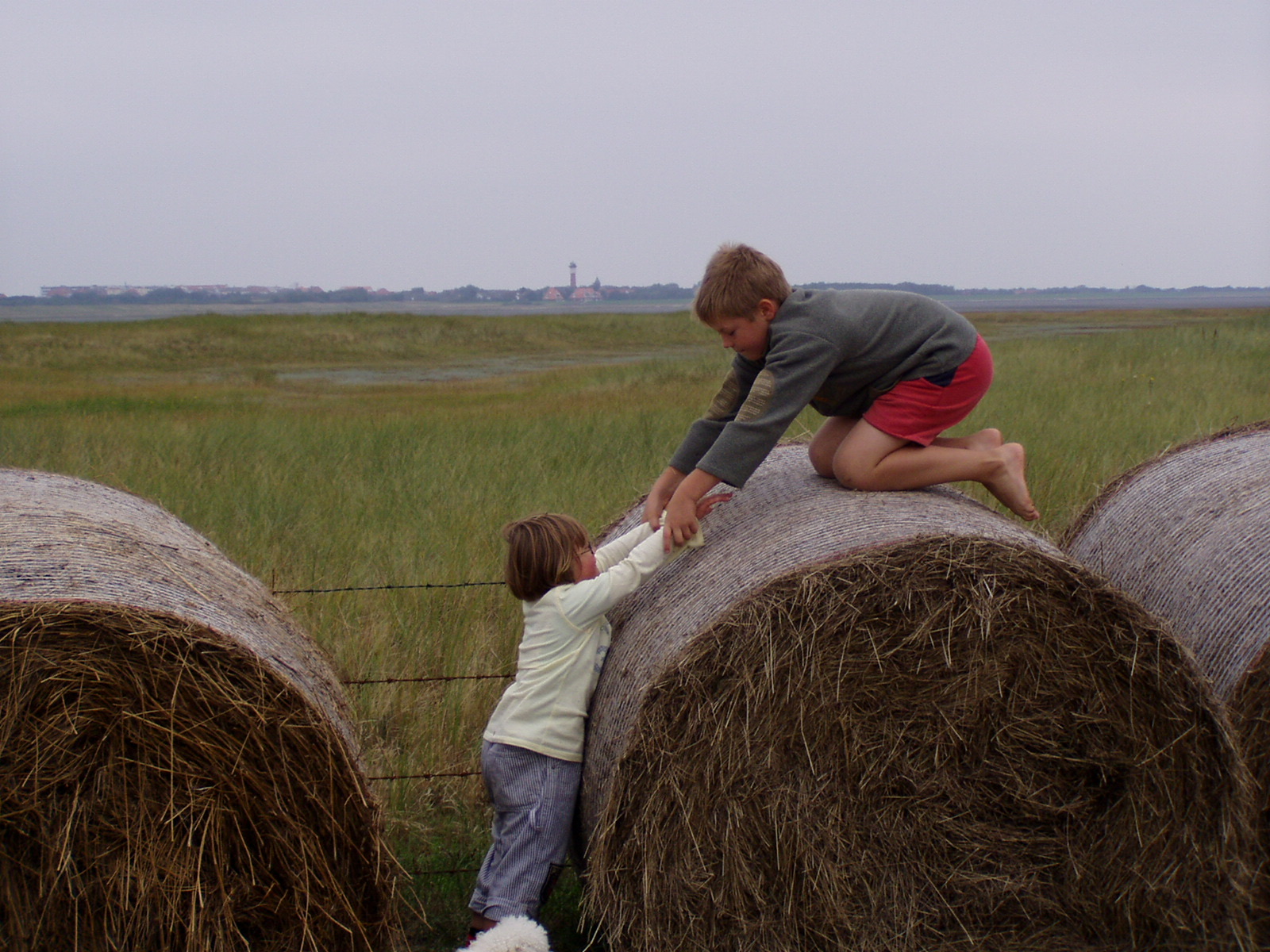 7C51A2A4 C77E 4EC6 A584 45F4085A0623p9110489