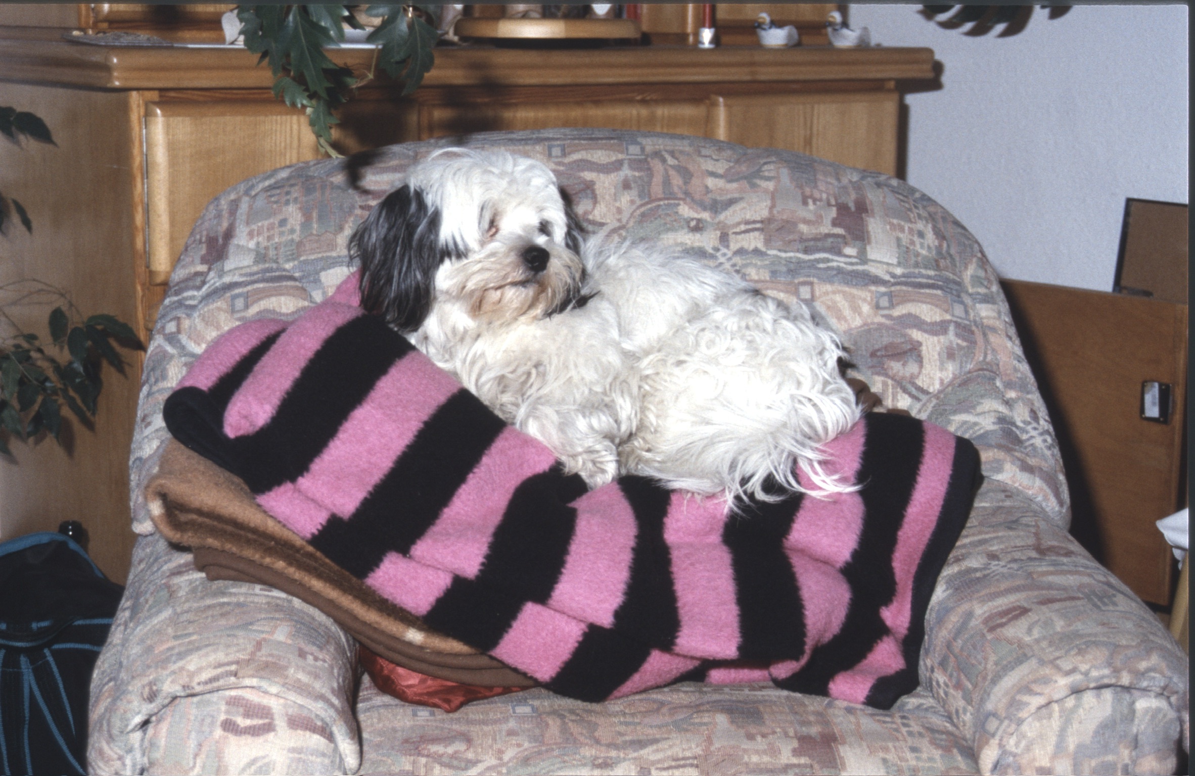 7F1C4754 F7AC 4592 8611 8BD31AA804982020 02 07 0002