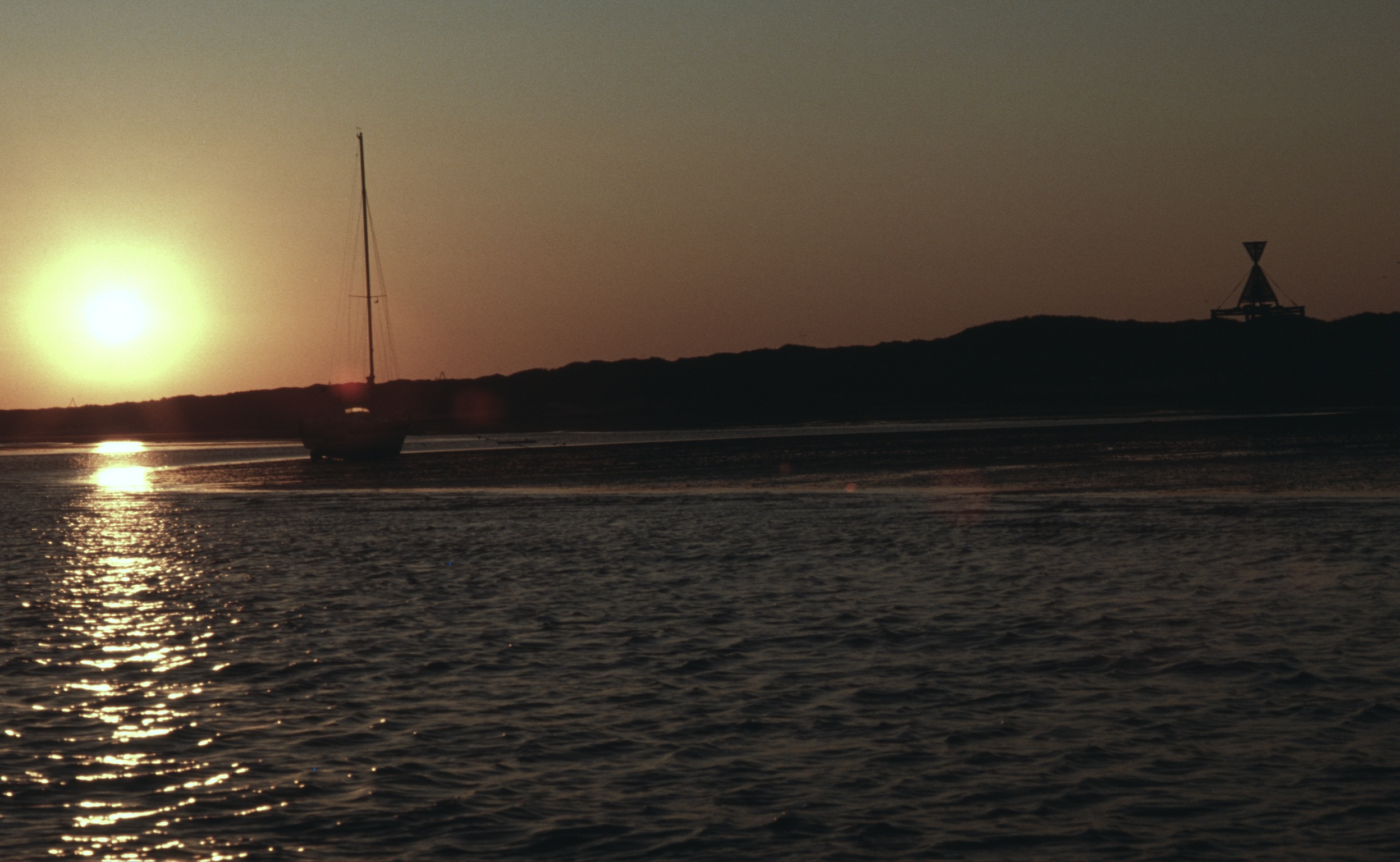 865B9846 B12E 43E8 A377 028F08E6C7E02020 03 04 1015a