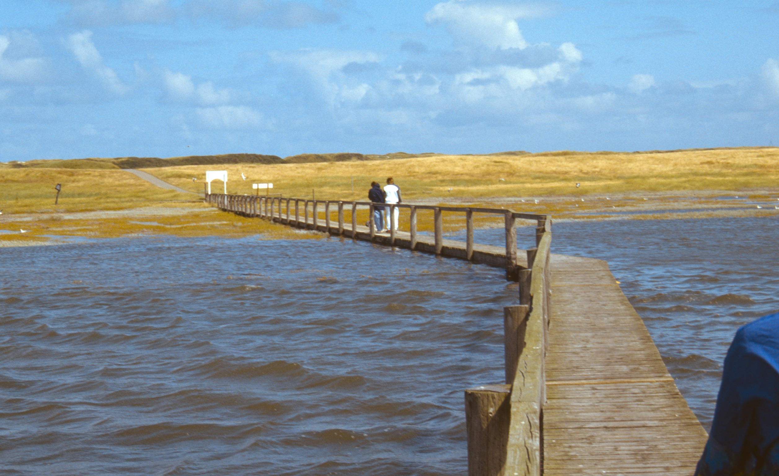 8C141E8B F123 4399 AAF4 FB23BB96A3832020 03 05 3047