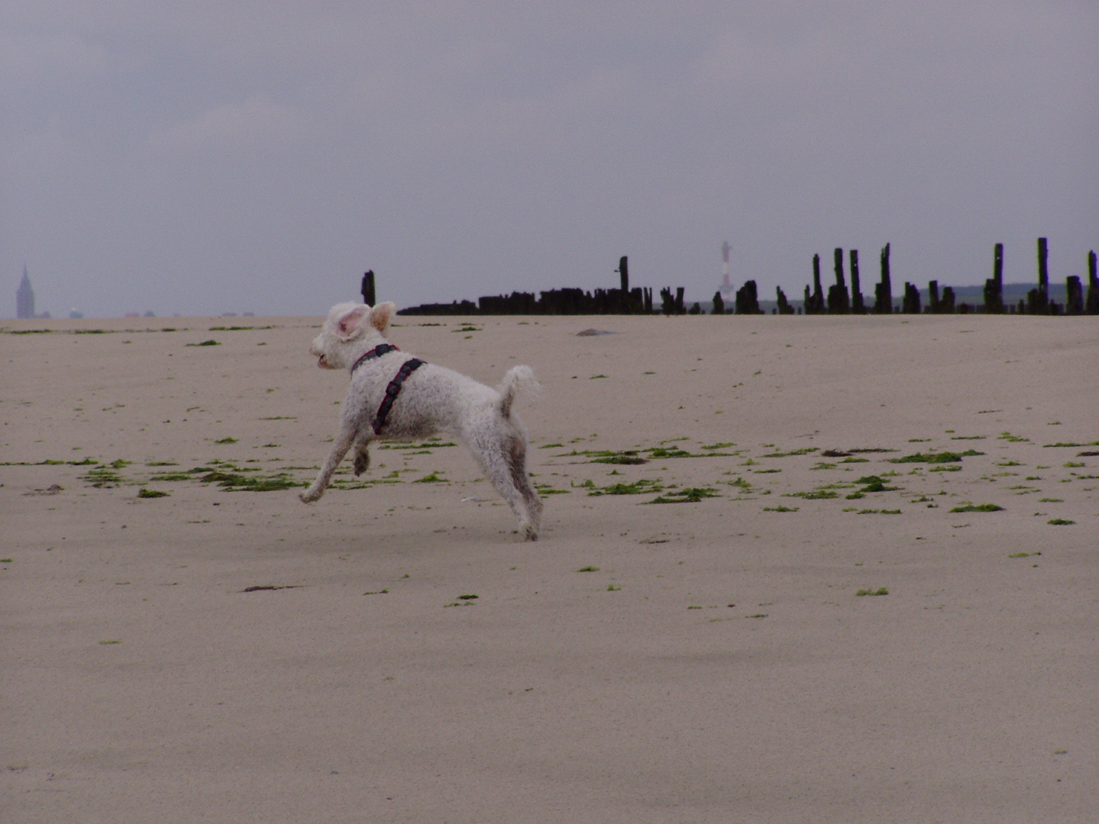 95B6A1DB 553F 49CD 83CB 7B5AA254B068p7300357