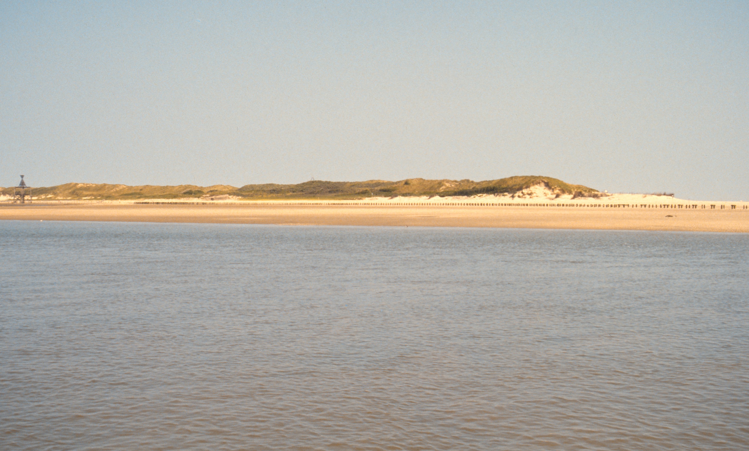 9D1E337A 67C1 4D28 BA7C 320D0C956B812020 03 04 1004a