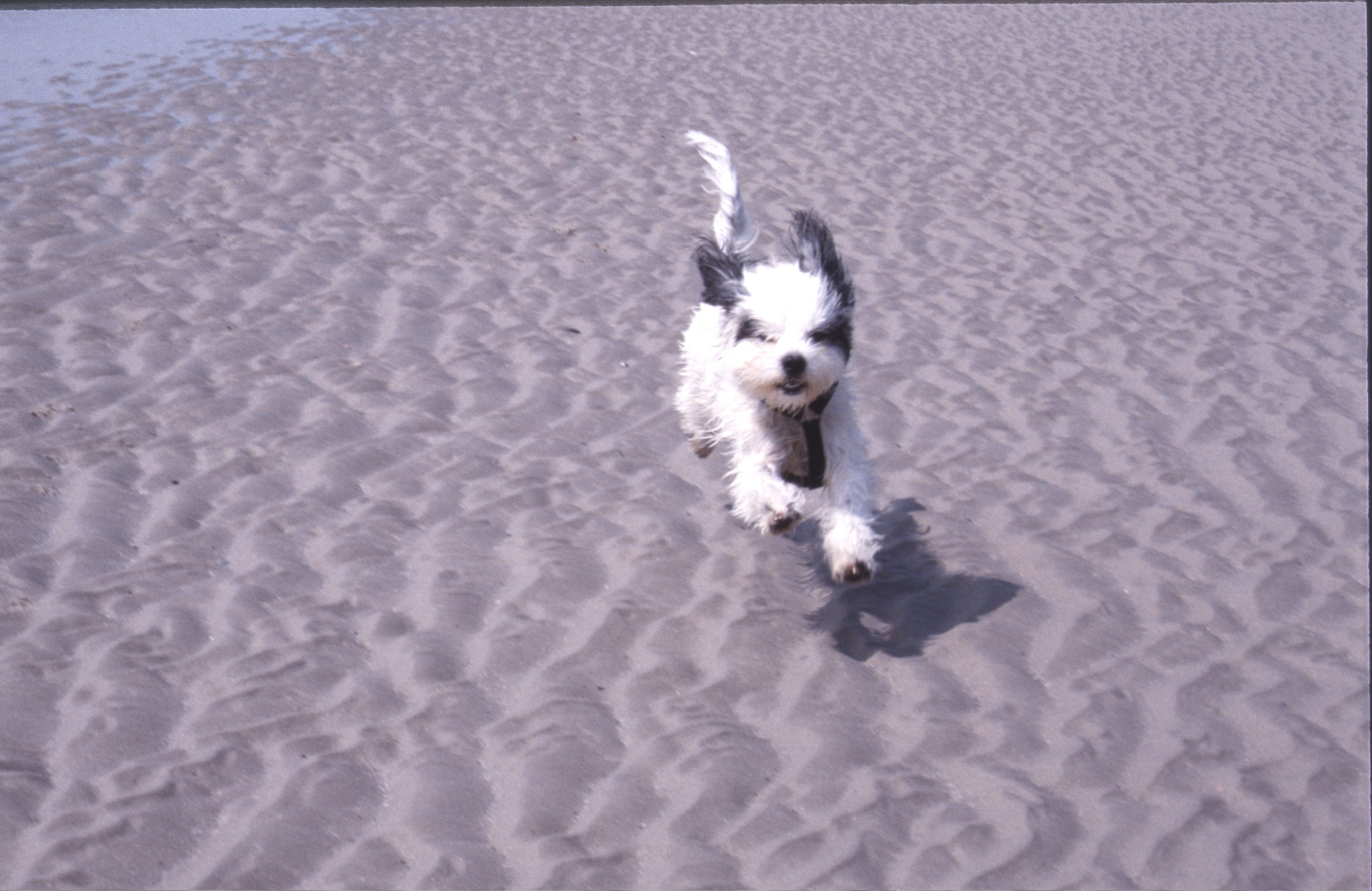 ADA07B3F 23E7 4FC2 ADE8 B8EFB5FAE7272020 02 06 0042