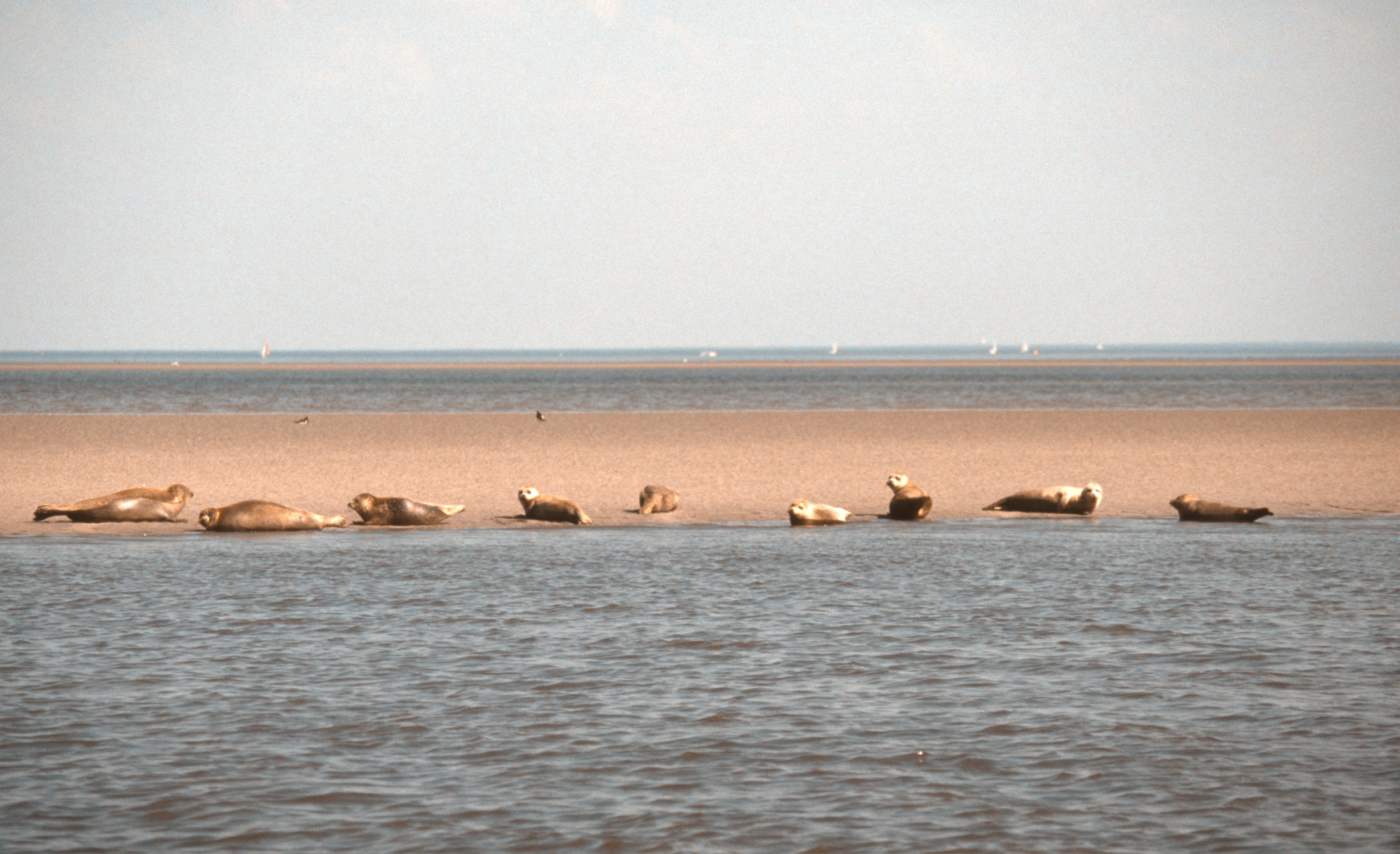 AFF165BA B5B5 4C85 AC10 E330D81DDCA02020 03 04 1023