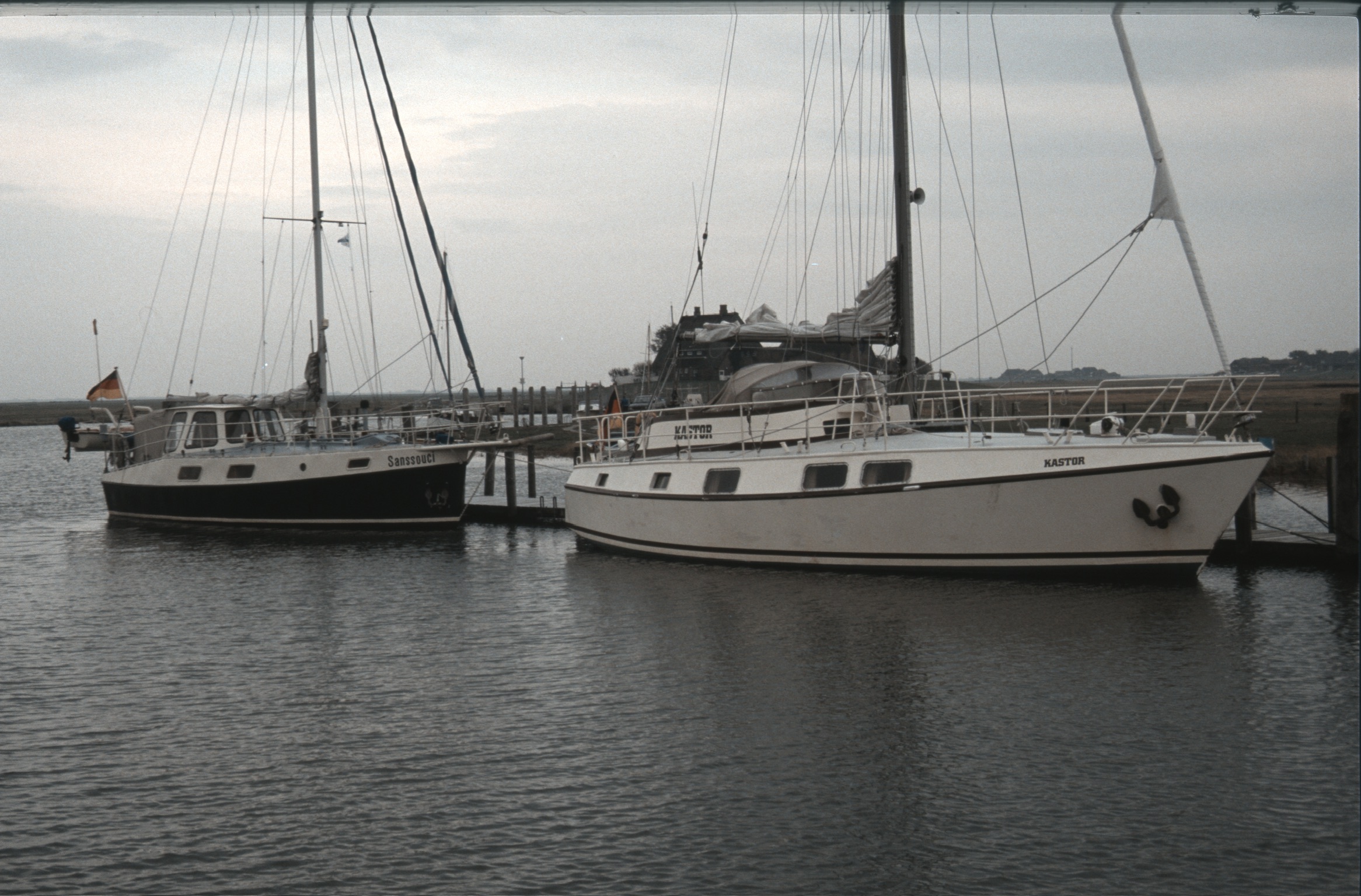 B1B1D99E ADD9 4A39 83D1 348E53ED907A2020 03 03 0038