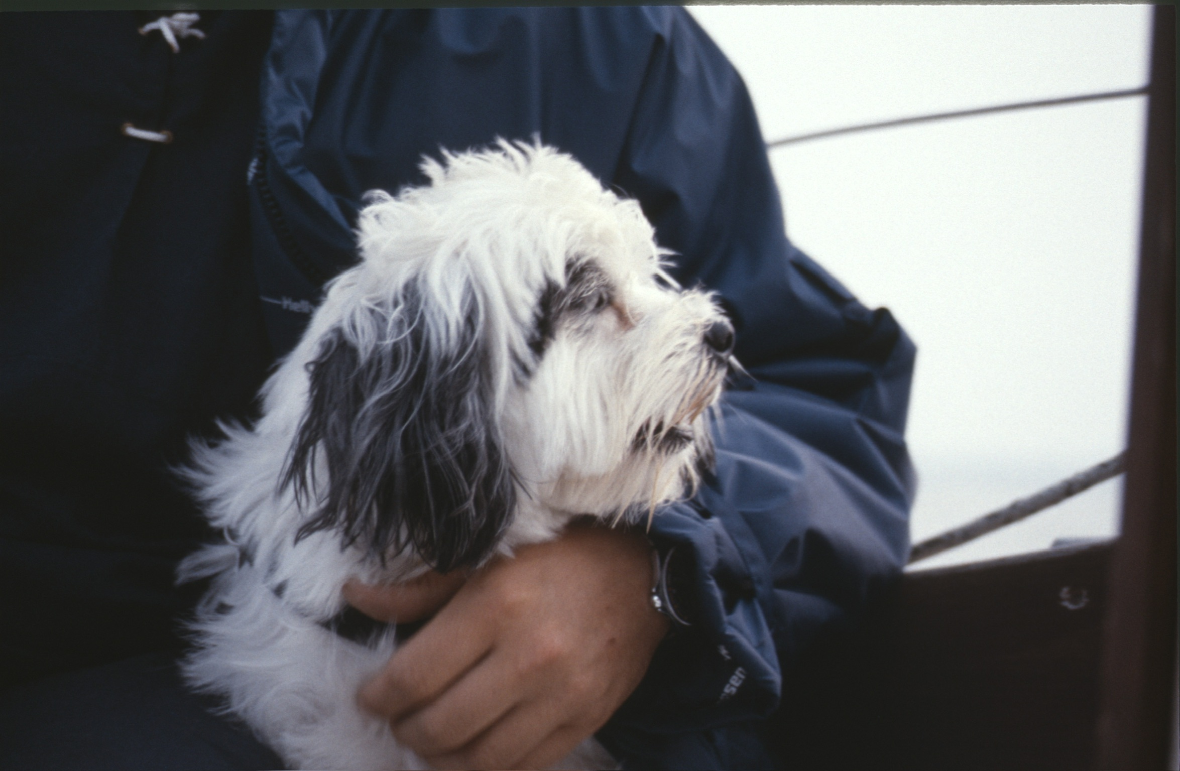 B5C2523D 545E 4634 B889 84125BFFD15F2020 02 06 0012