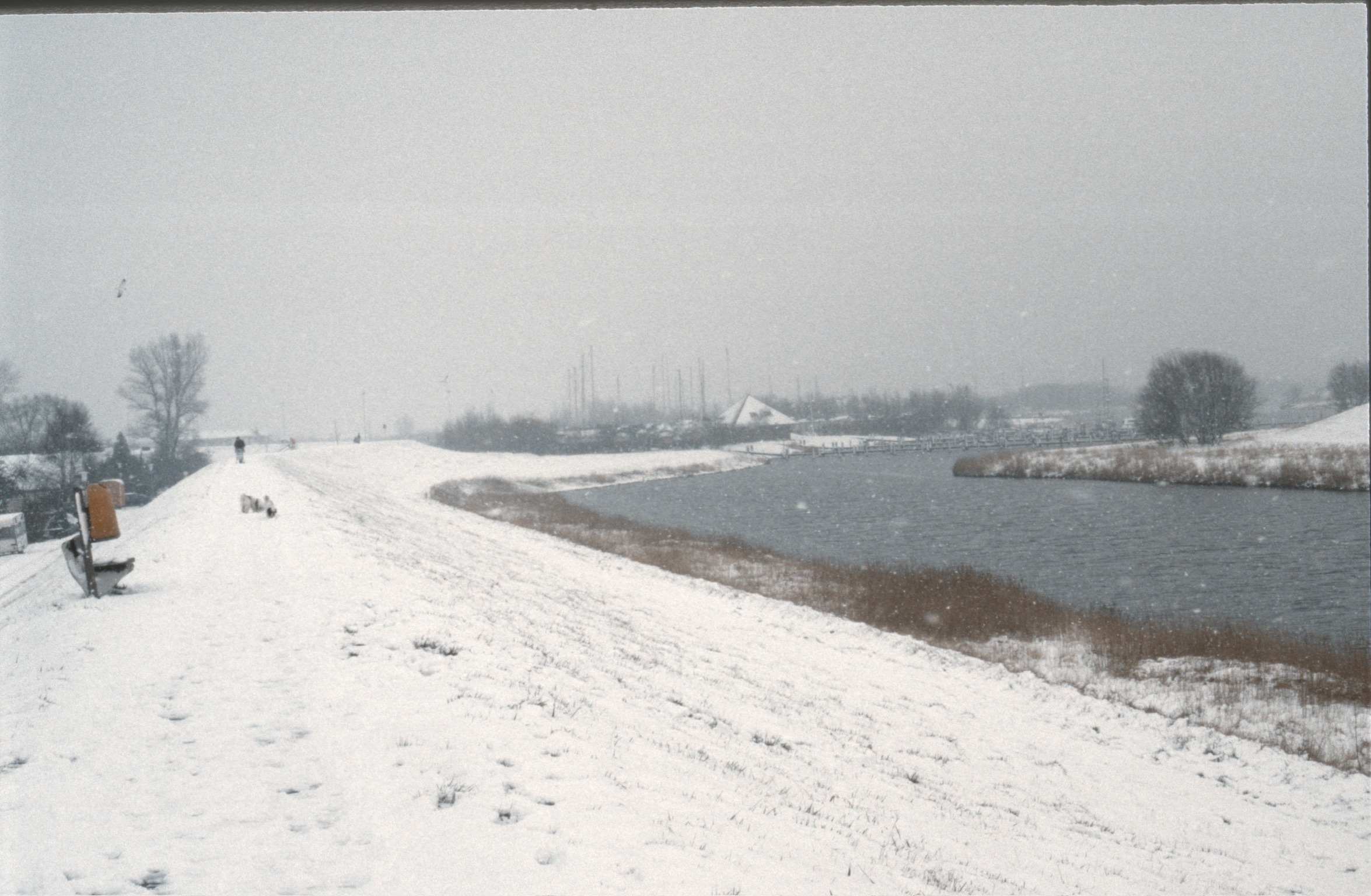 C6DED407 8F1A 4FBA A630 6FBF166E55762020 02 25 1012