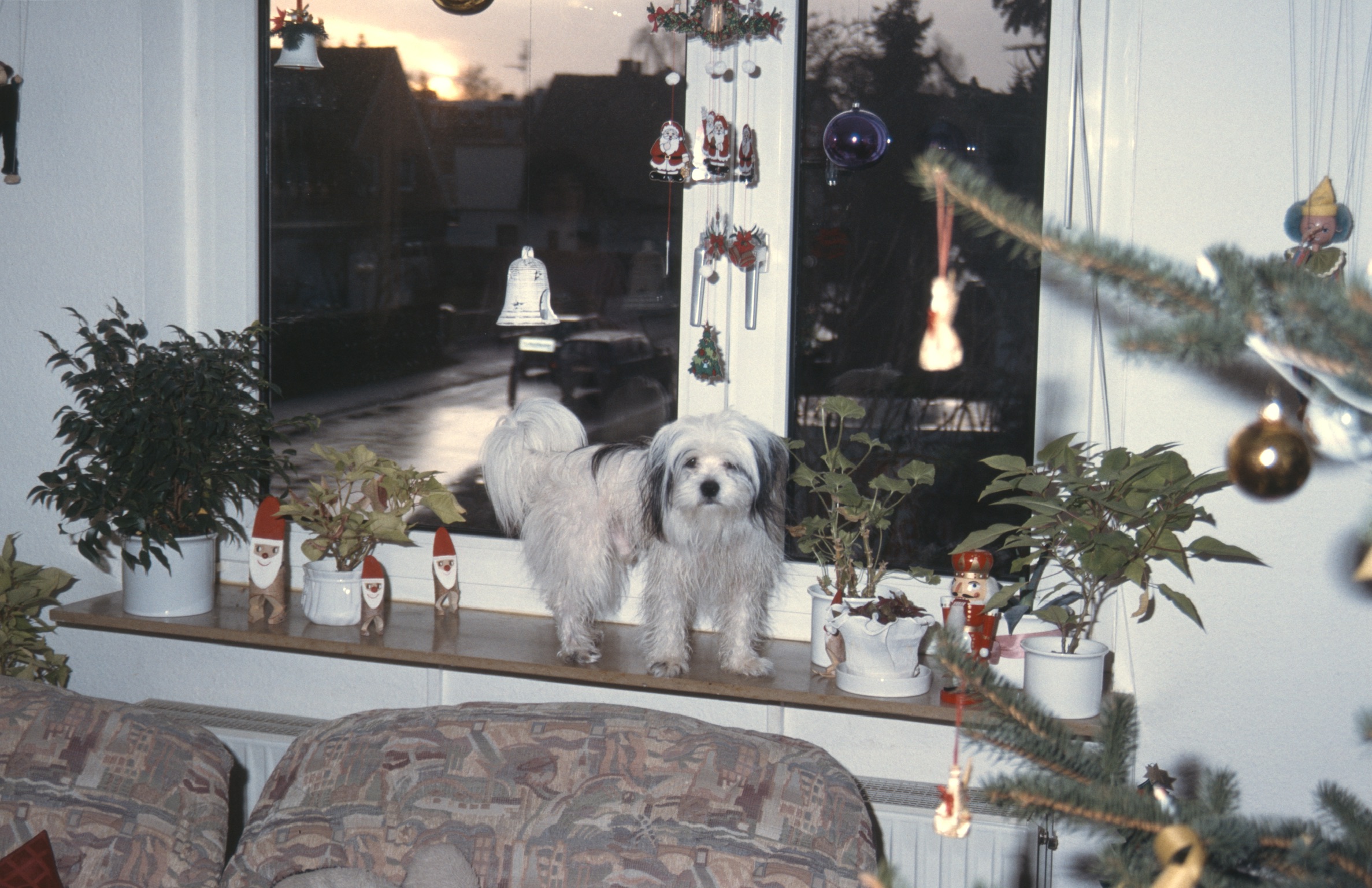 C9AA3014 7B33 44C6 BF0F BDC5BB881D062020 03 06 0007