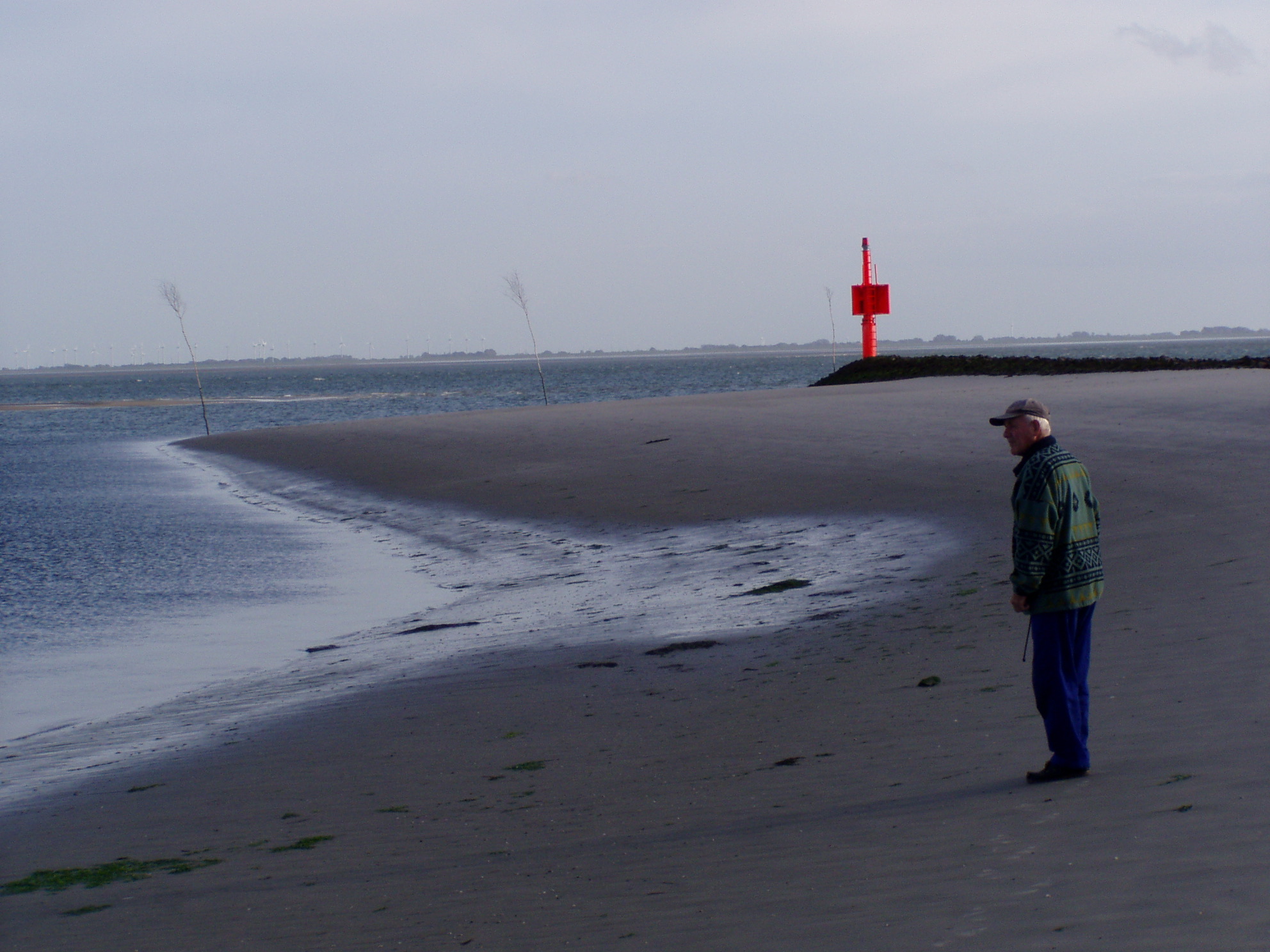 CB151B01 87E6 4B54 BCB3 FC04D29D3606pa010503