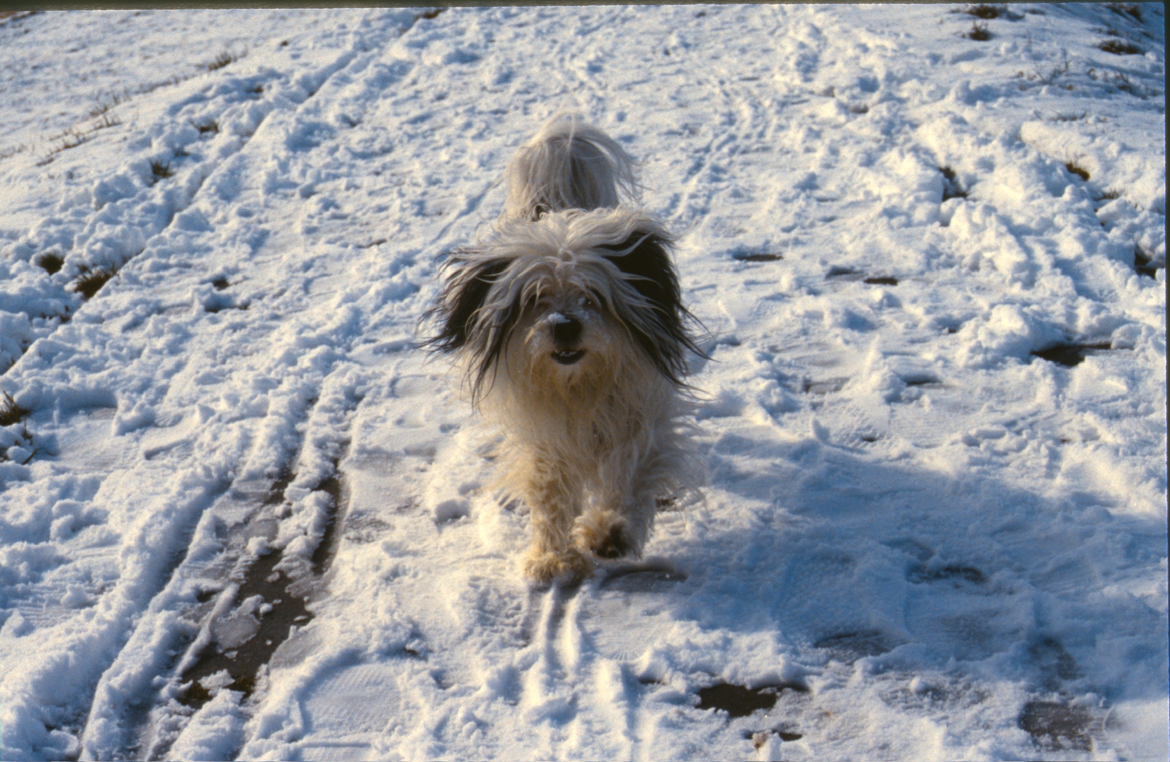 CD425D46 B787 45B9 BE10 B5173970ED722020 02 25 1016