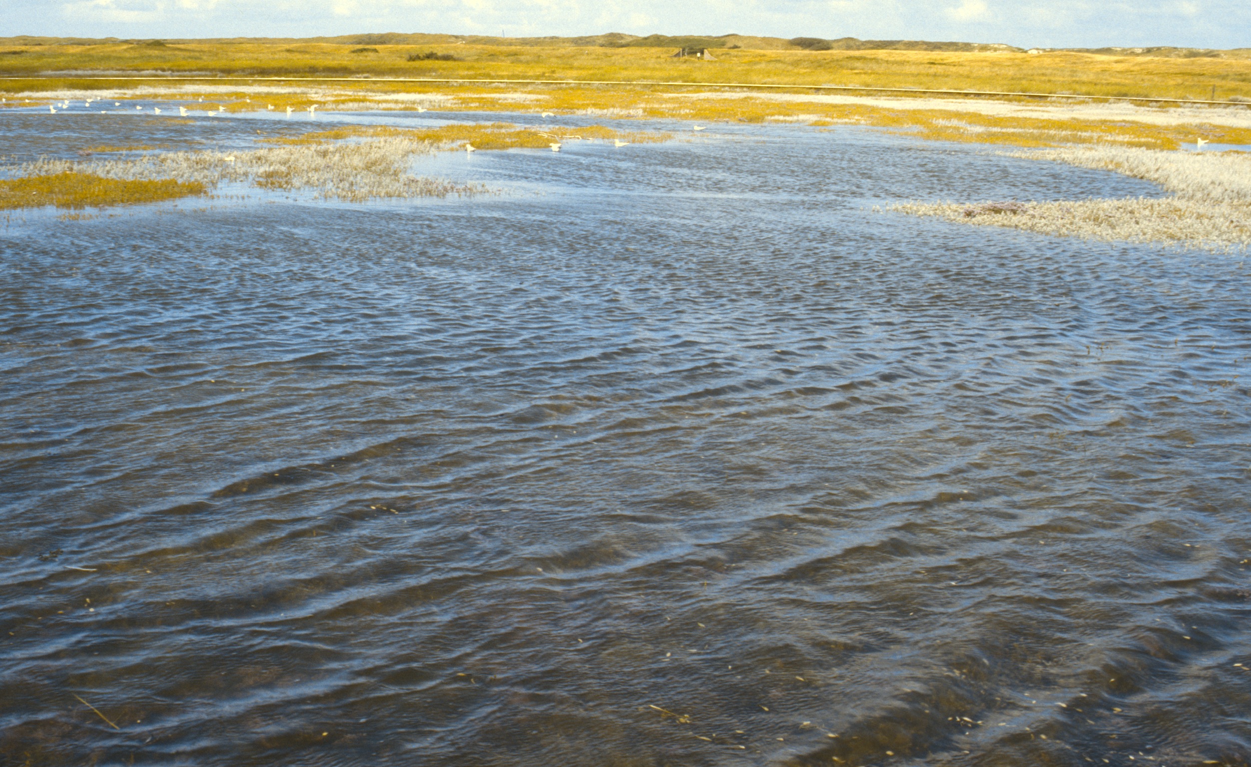 D37EE40A C56E 4A96 8117 630D850625B62020 03 05 3049