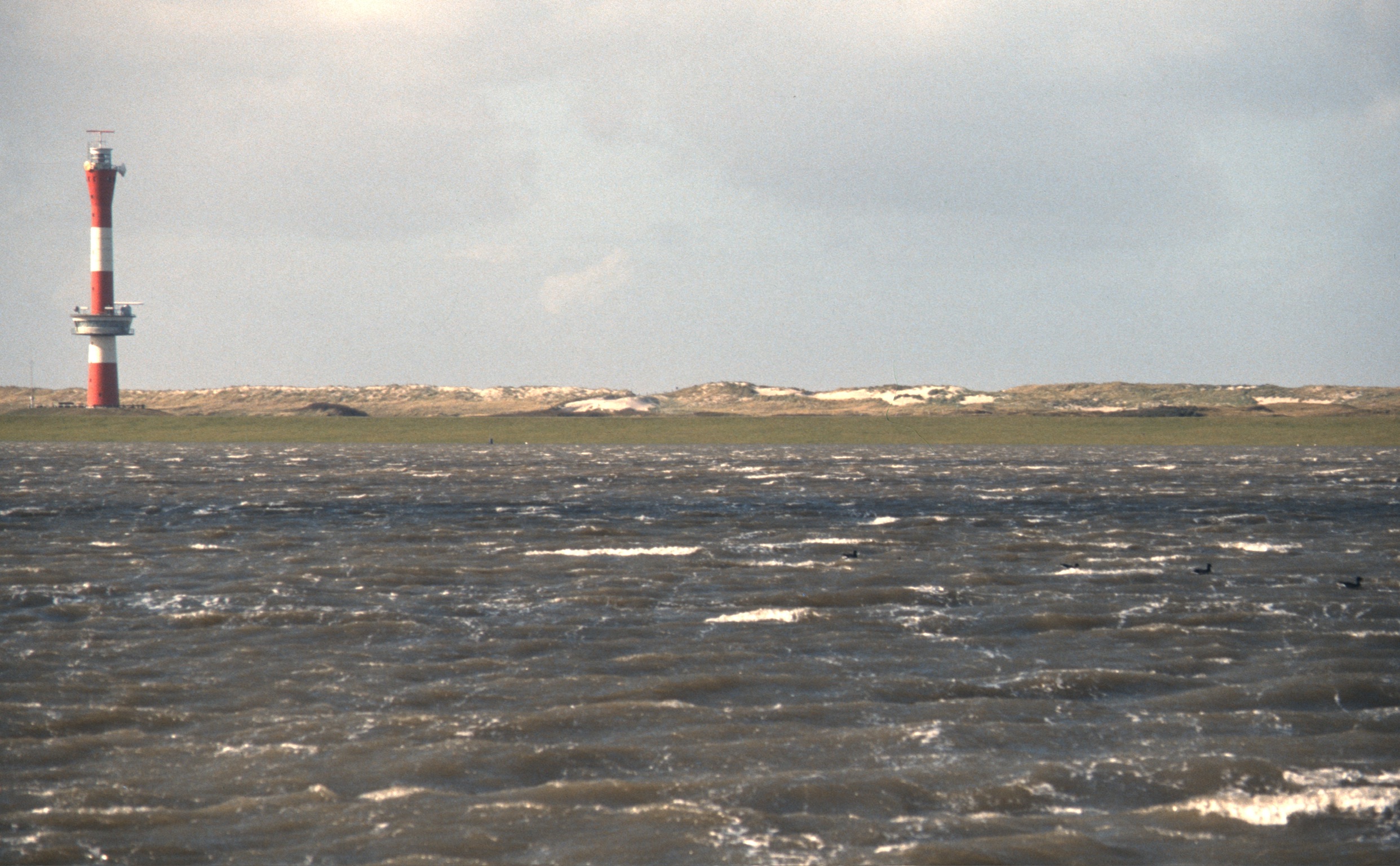 DEF5E82D F2E0 4996 BE63 616B9FED7B692020 03 04 1037