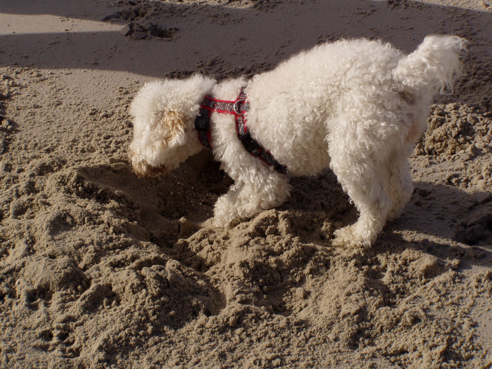 F079813B 4930 411D BCEE C3690C832705pa030530