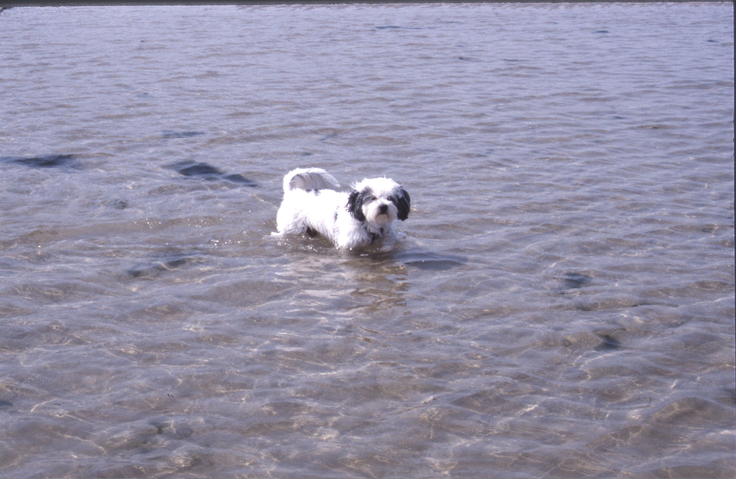 F35C00CA 9DB7 4042 8FD7 2015E72148C92020 02 06 0038