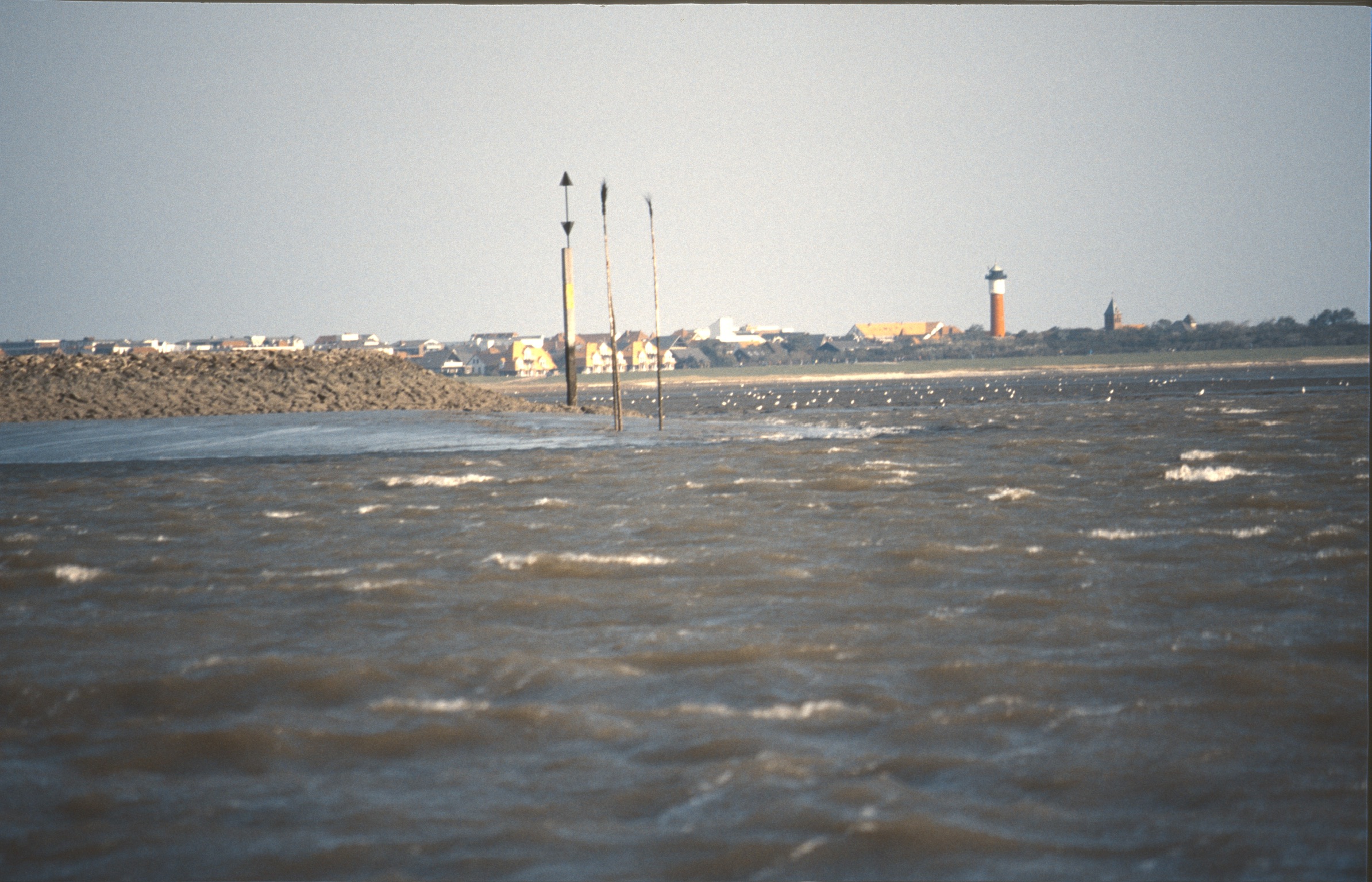 F8729588 B3E5 4263 984B CFC778DE14BE2020 02 16 0007